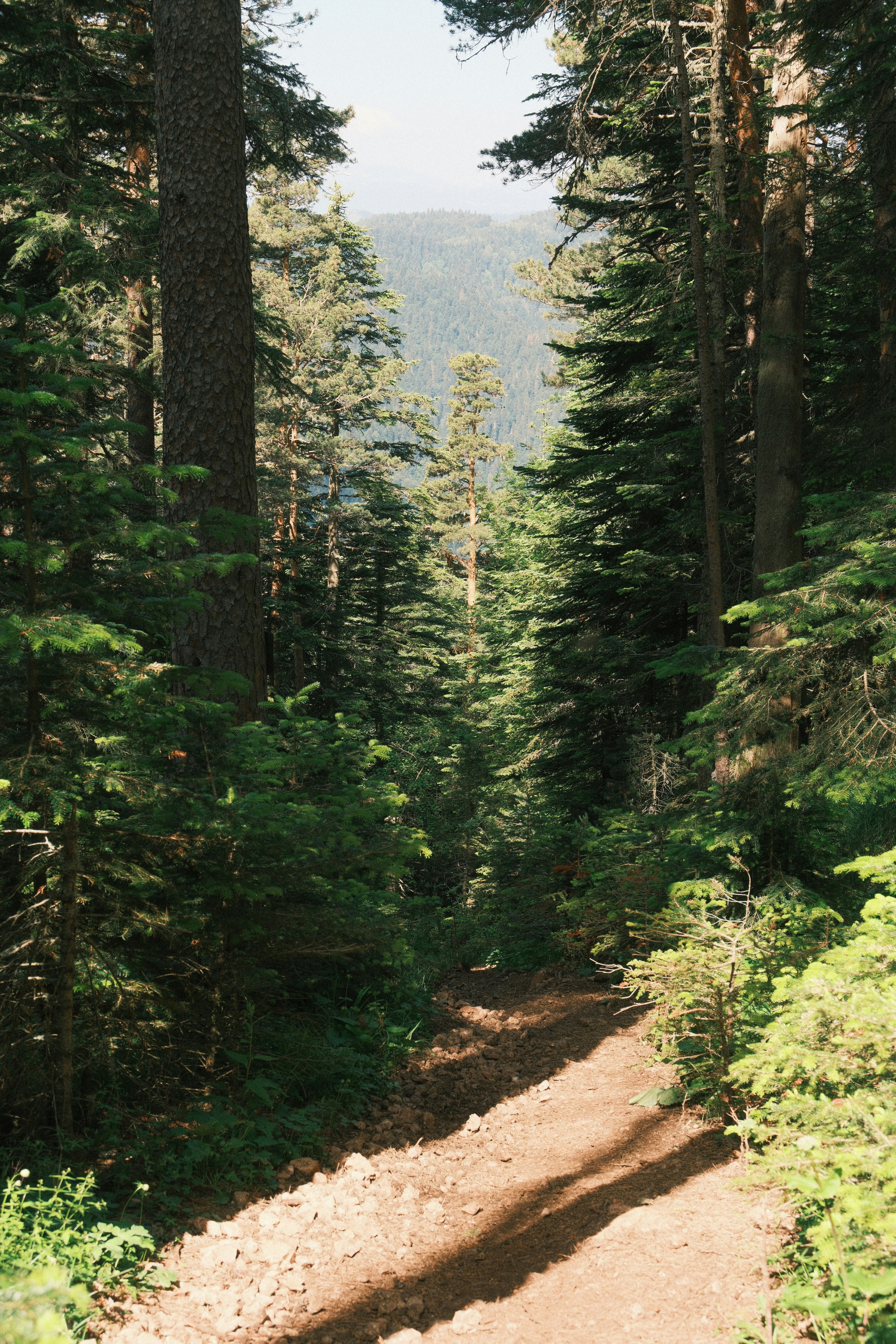 Photo by nikan_tanya