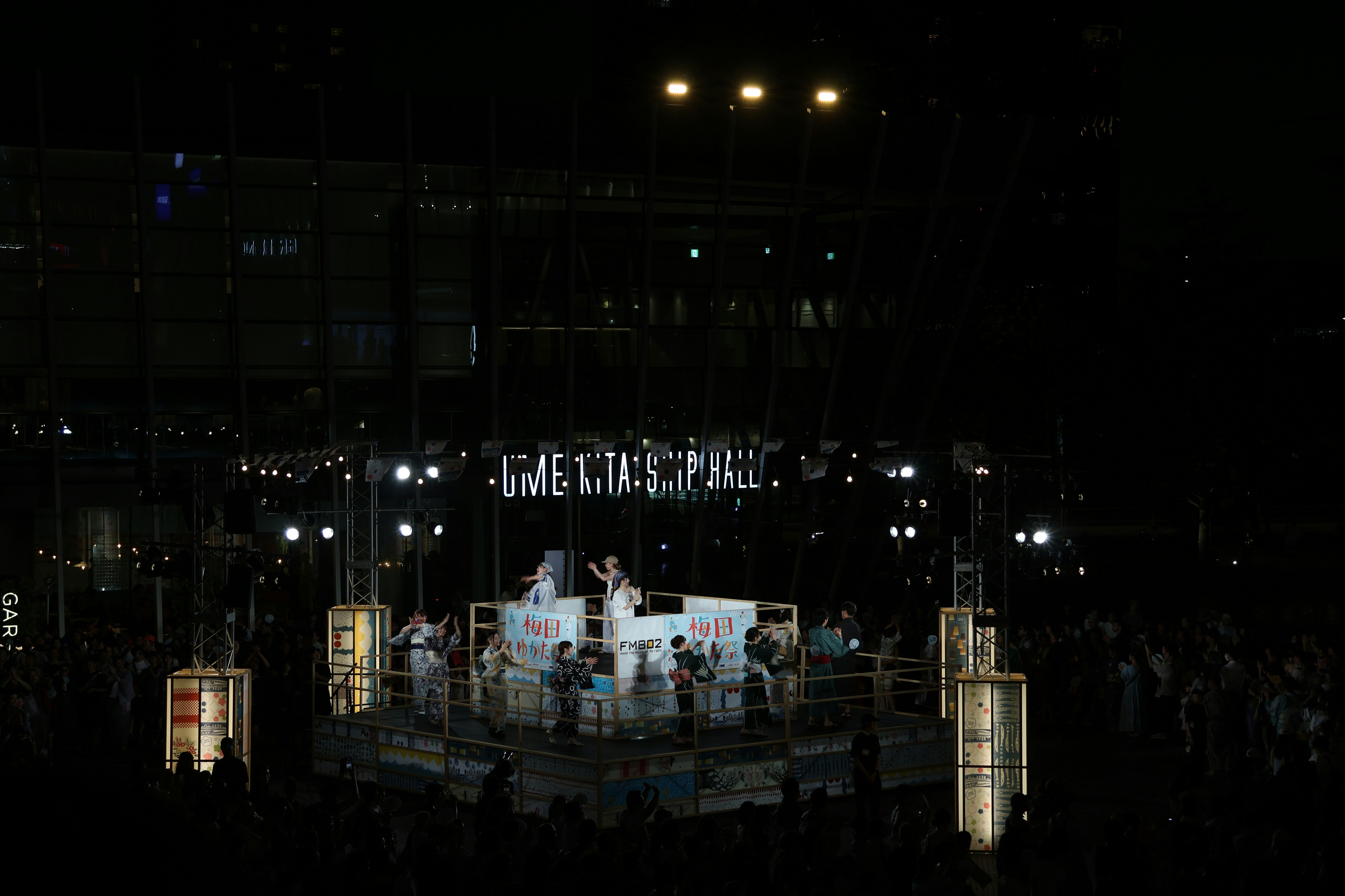 Singer performing with crowd