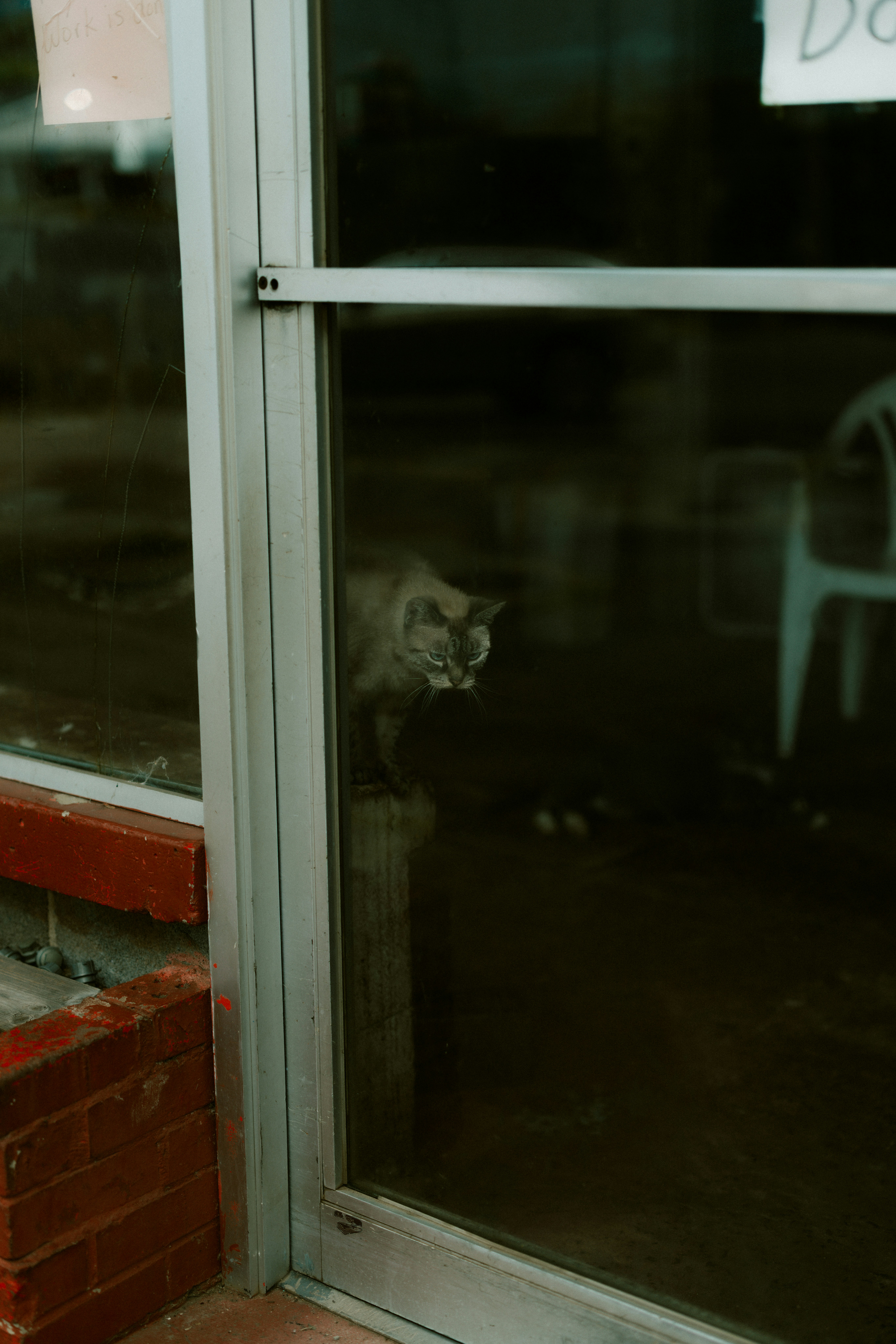 Photo by brookebalentine