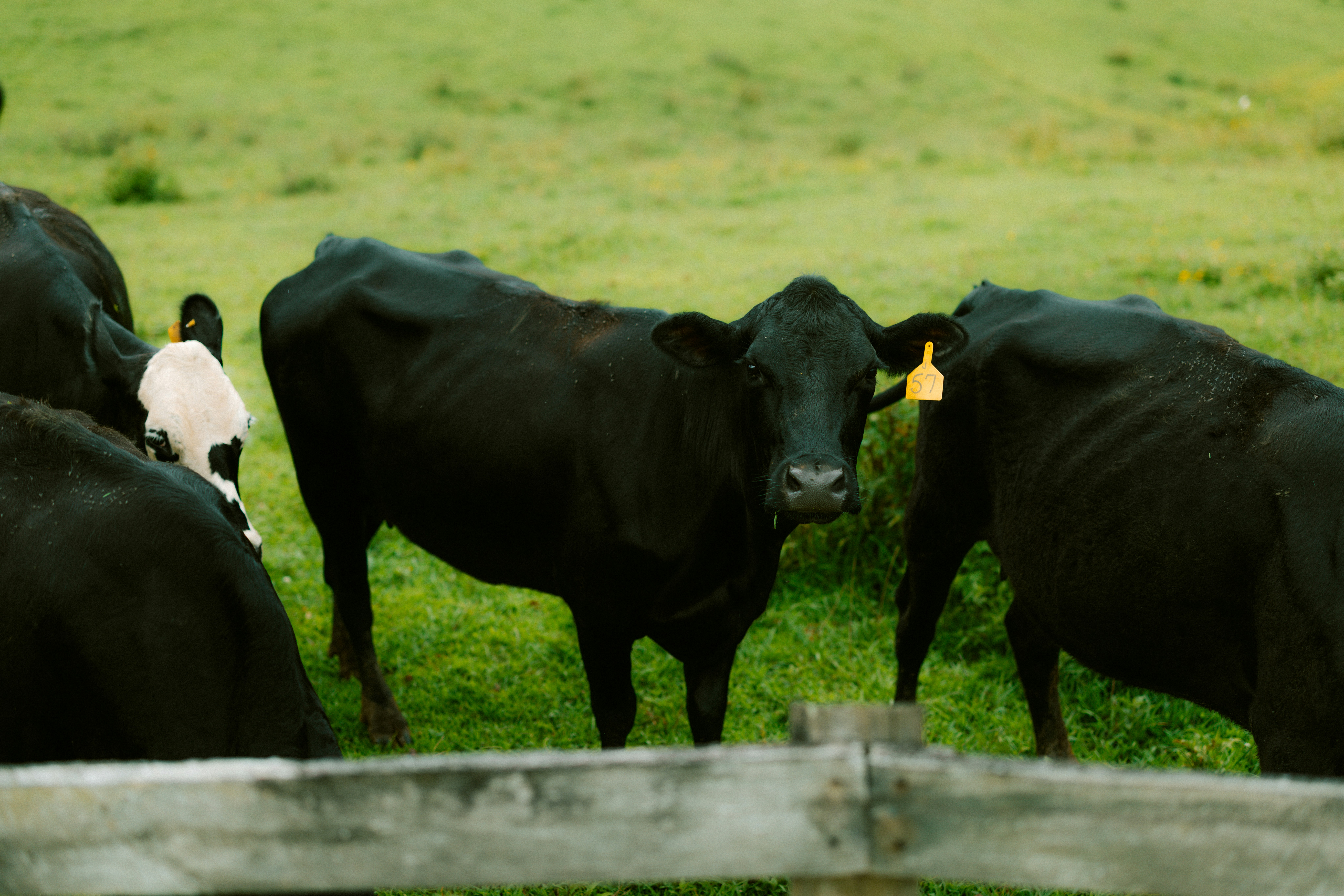 Photo by brookebalentine