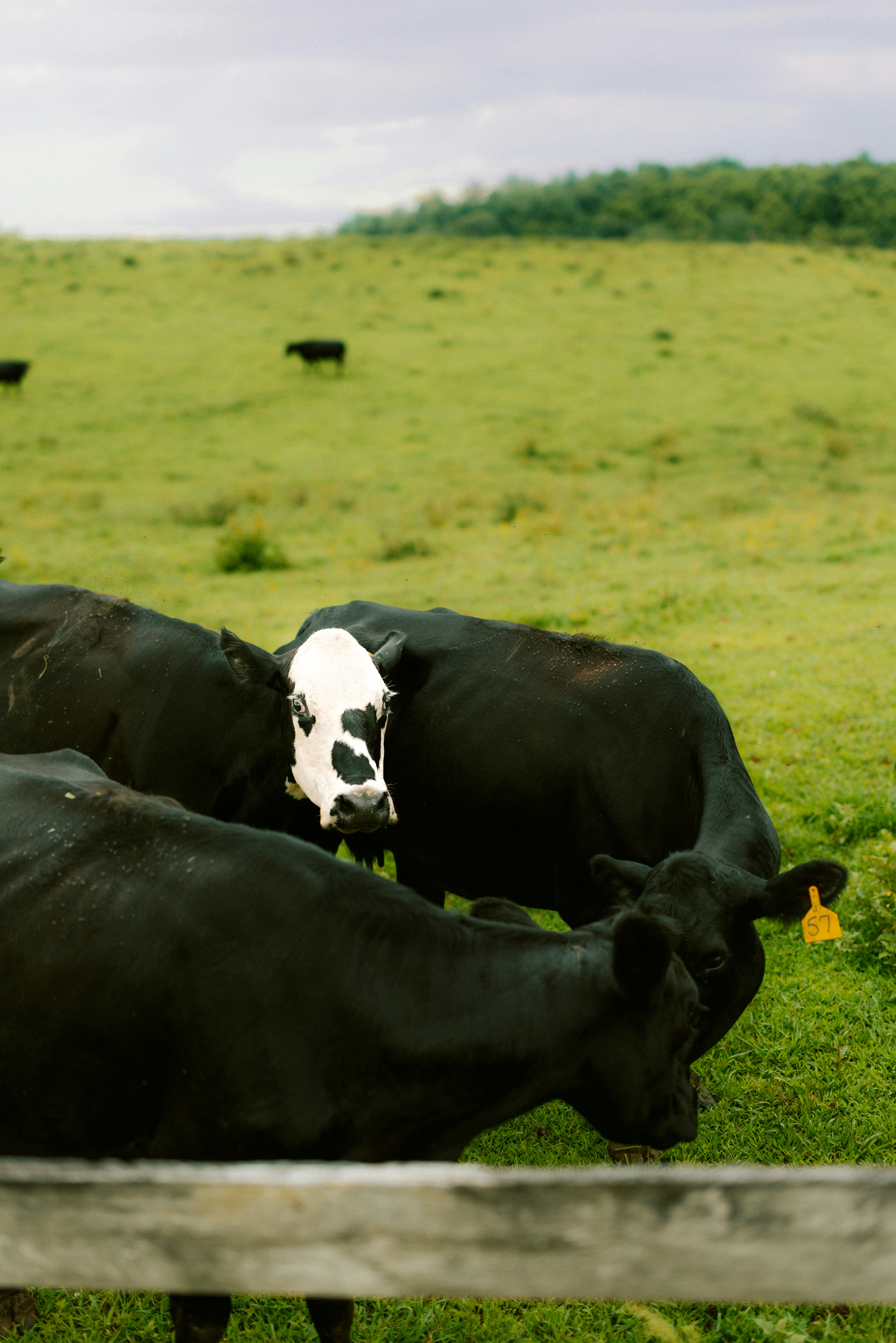 Photo by brookebalentine