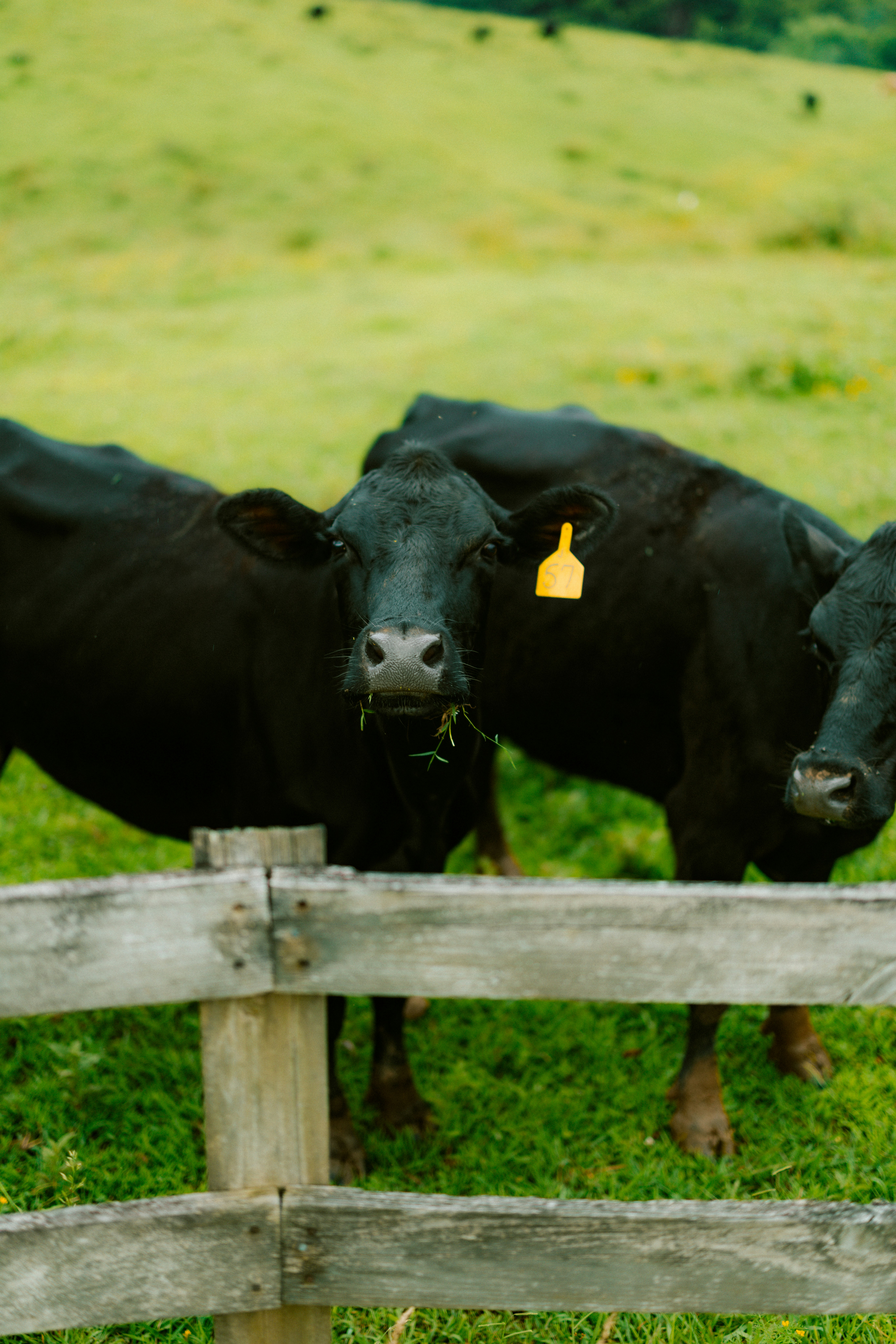 Photo by brookebalentine