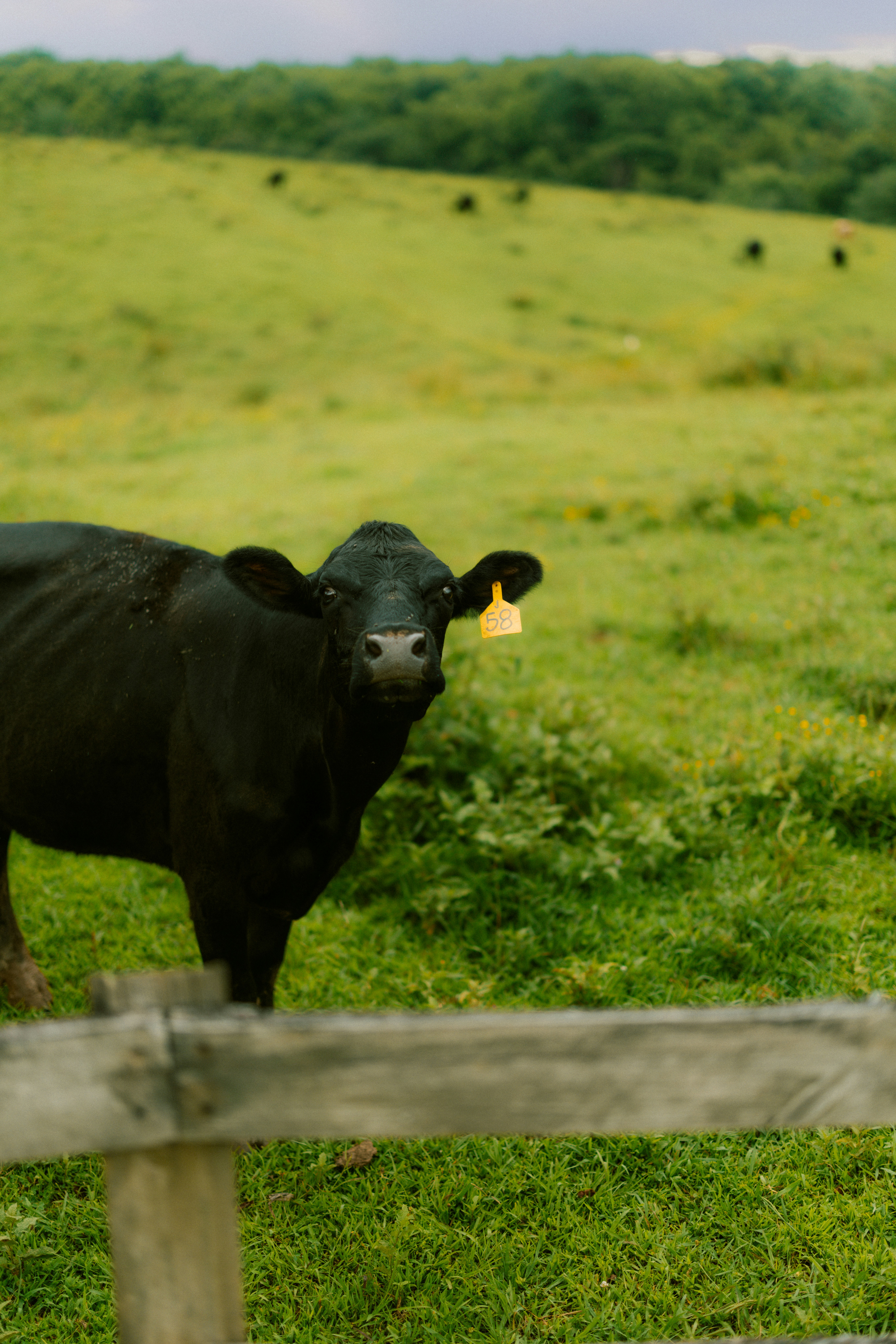 Photo by brookebalentine