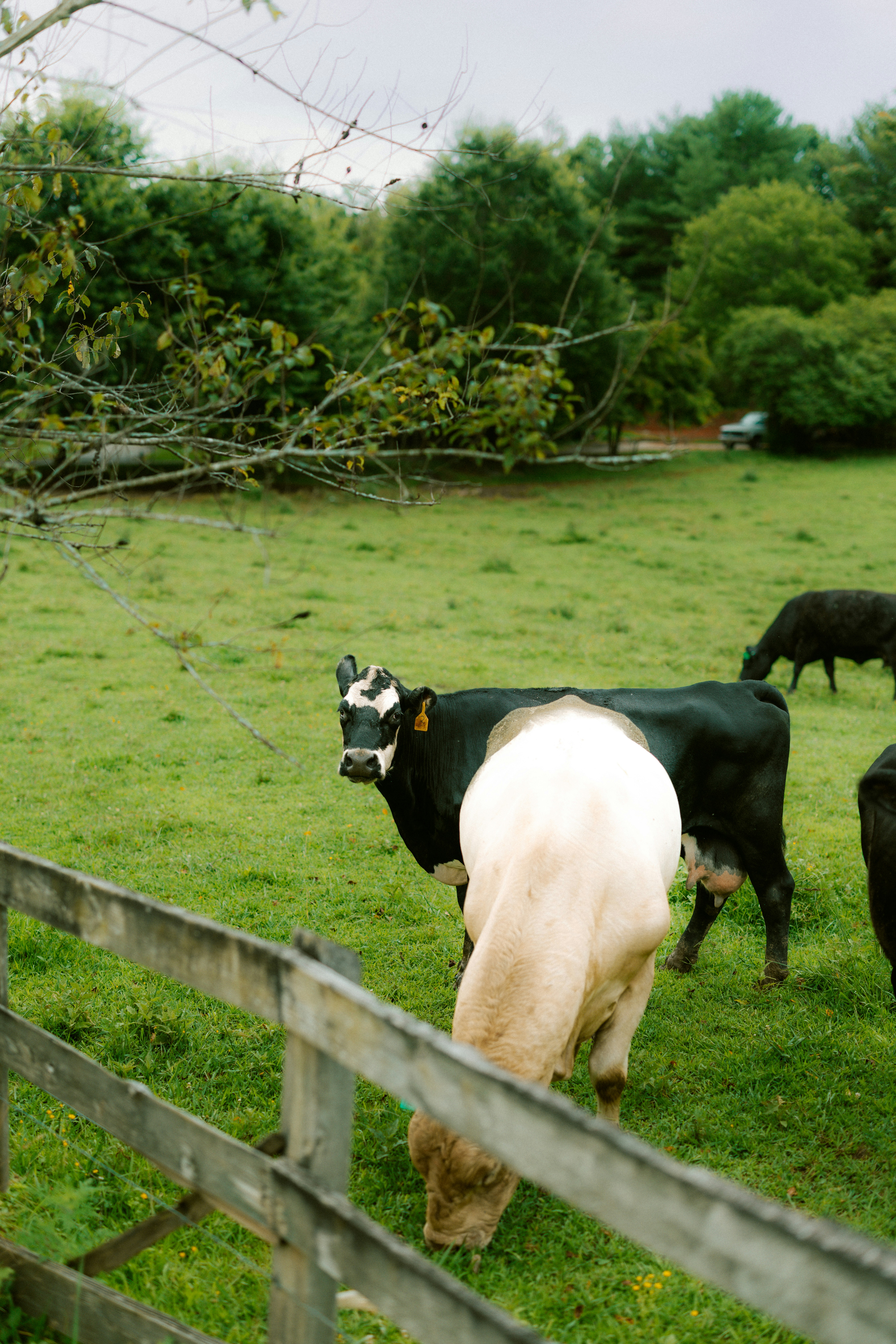 Photo by brookebalentine