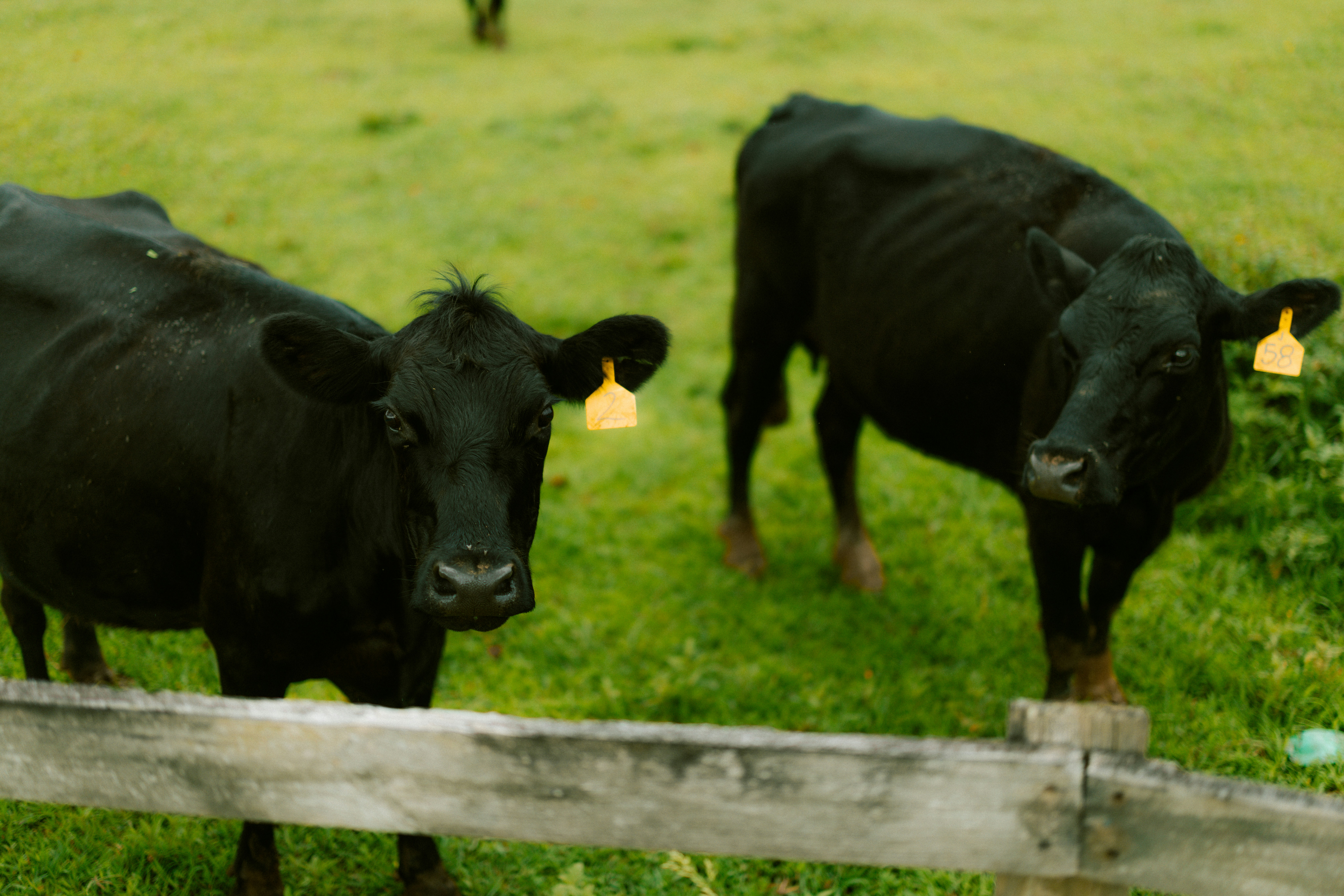 Photo by brookebalentine