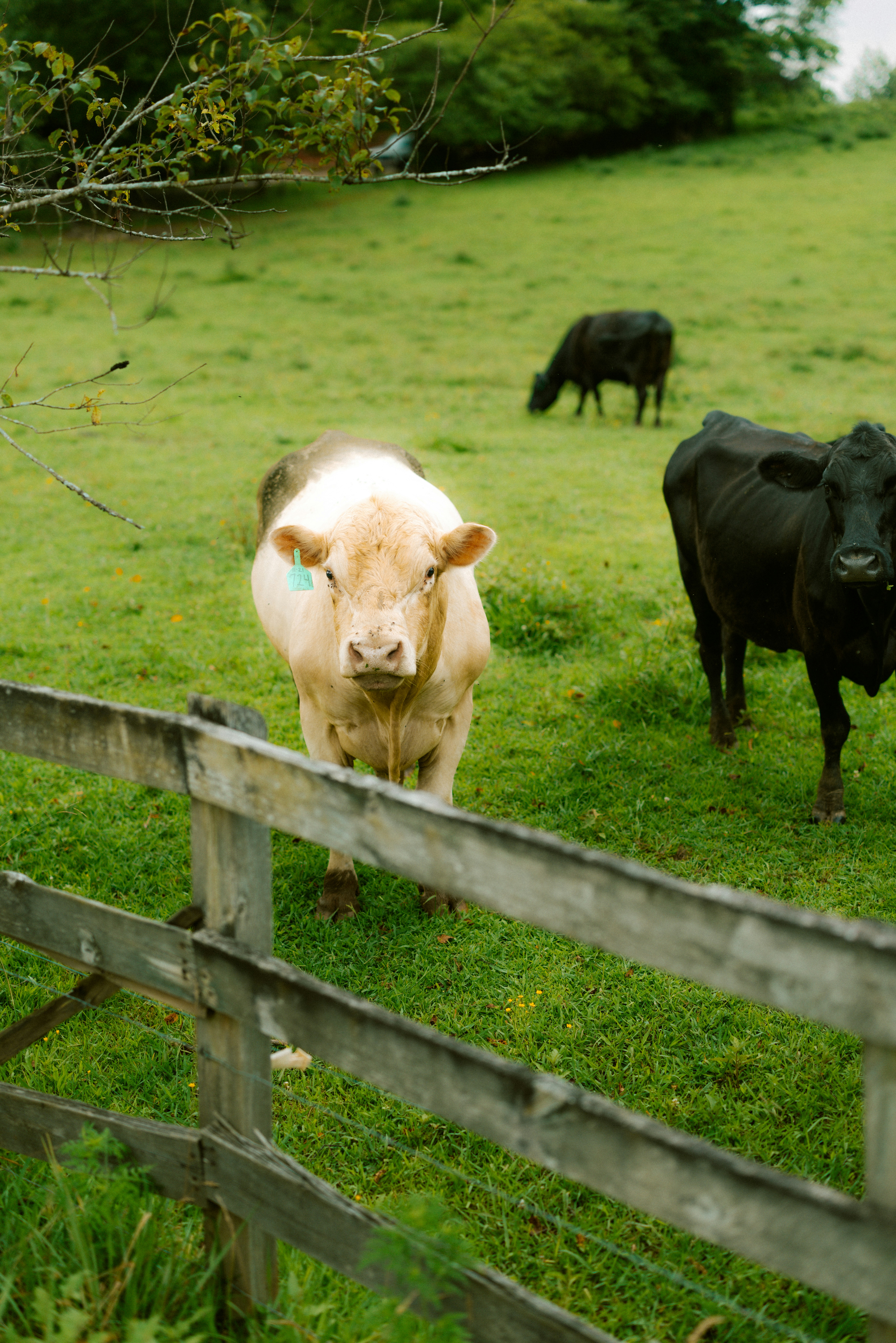 Photo by brookebalentine