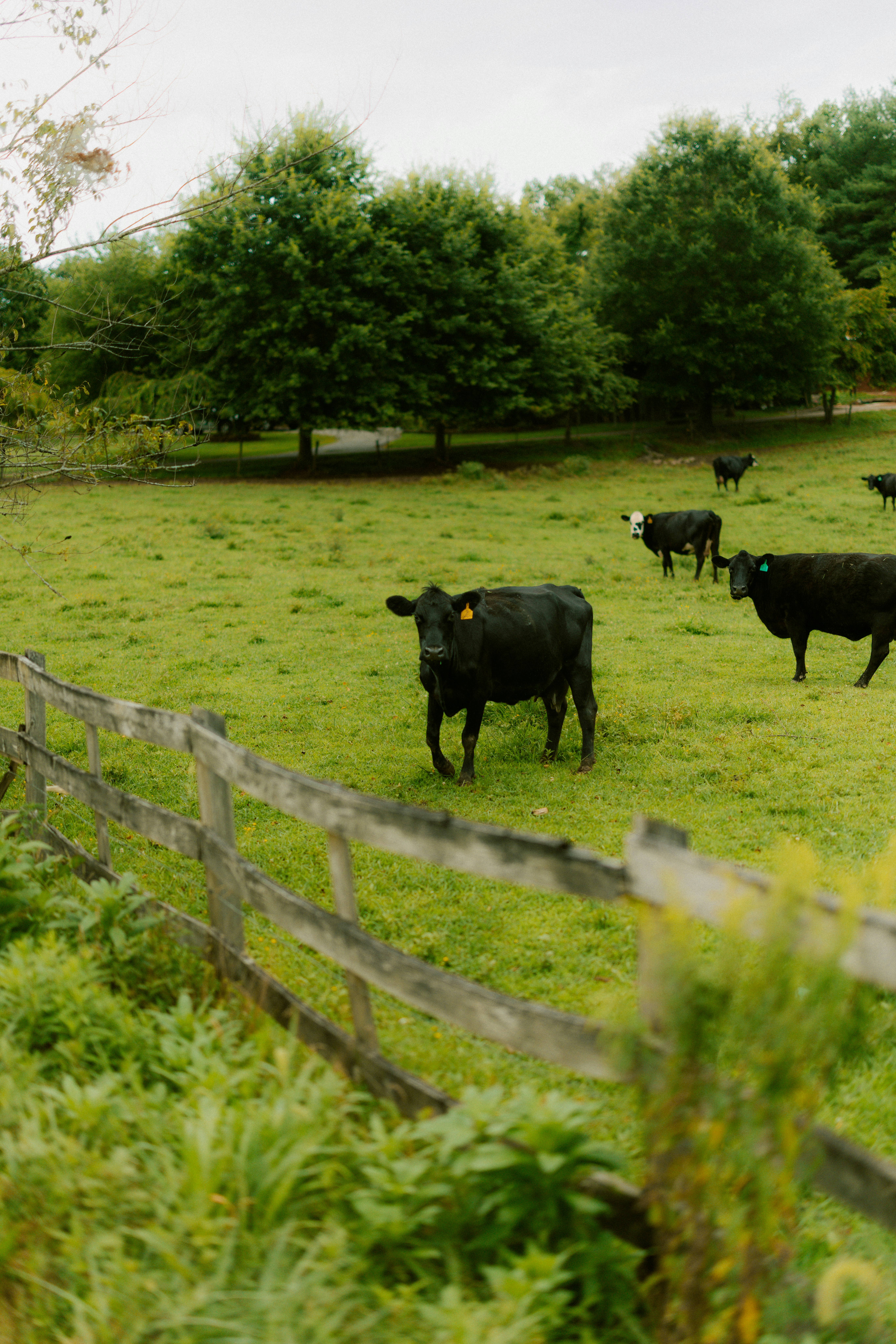 Photo by brookebalentine