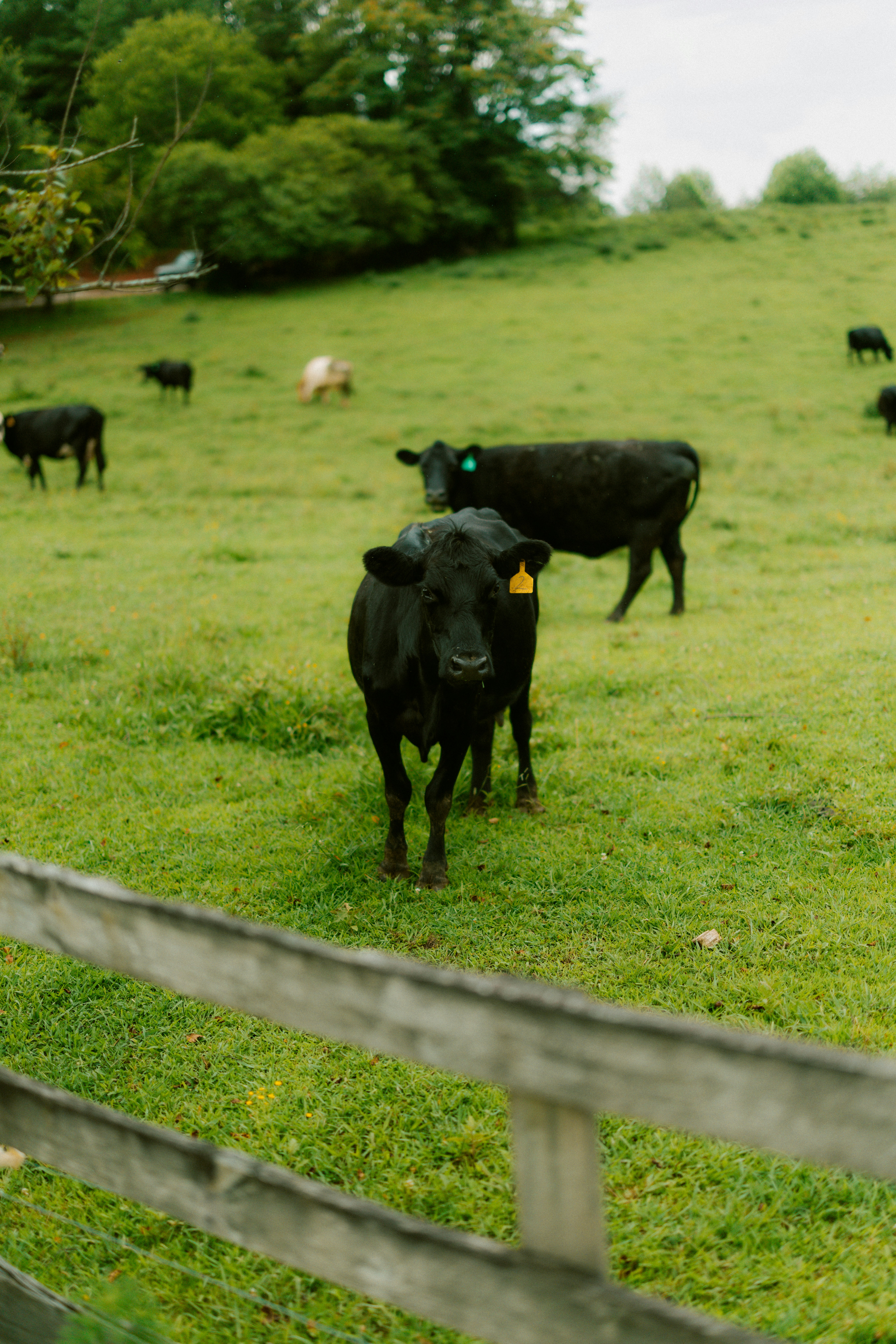 Photo by brookebalentine