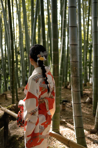 Woman in kimono admires a bamboo forest.