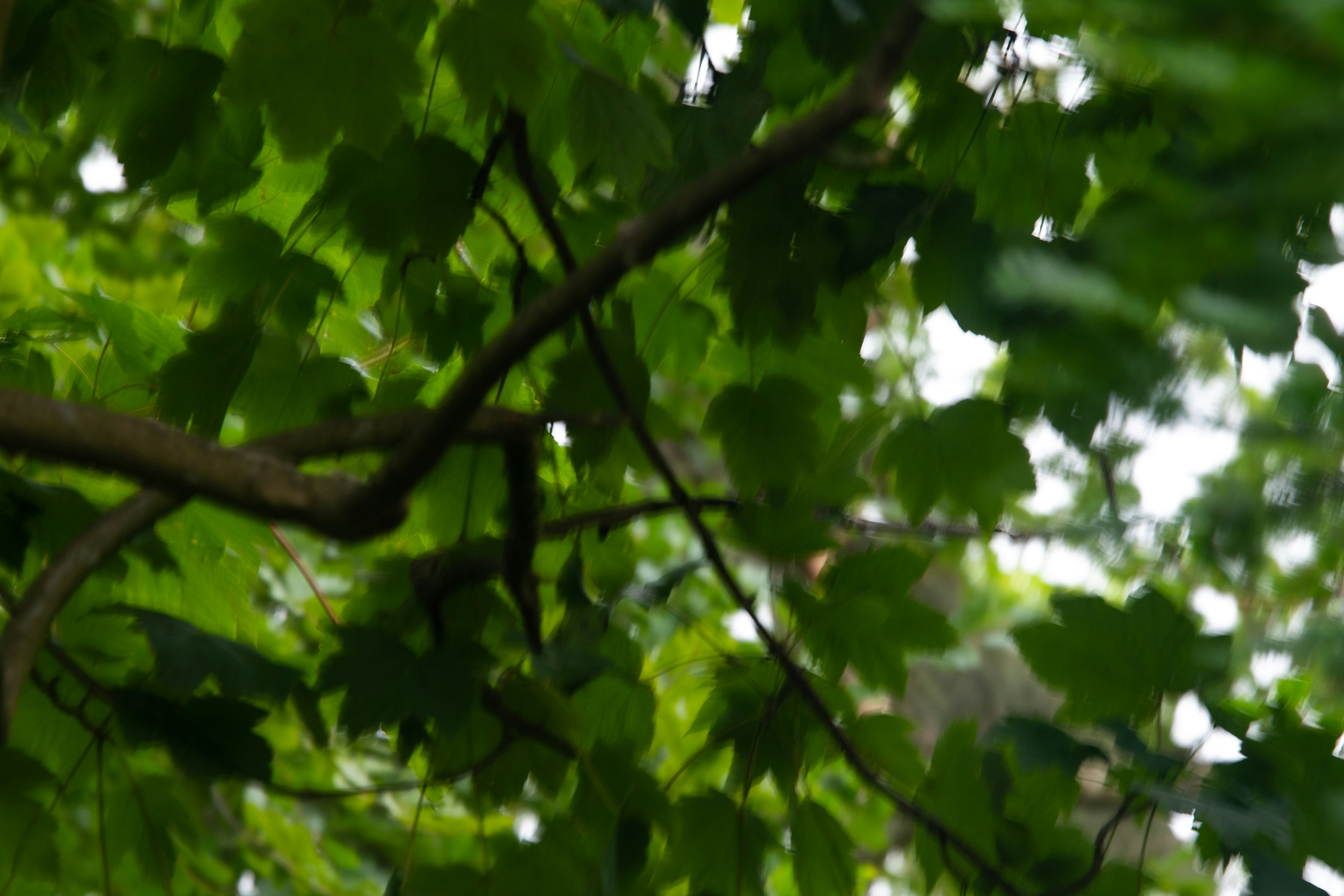 Photo by karl3kirstin