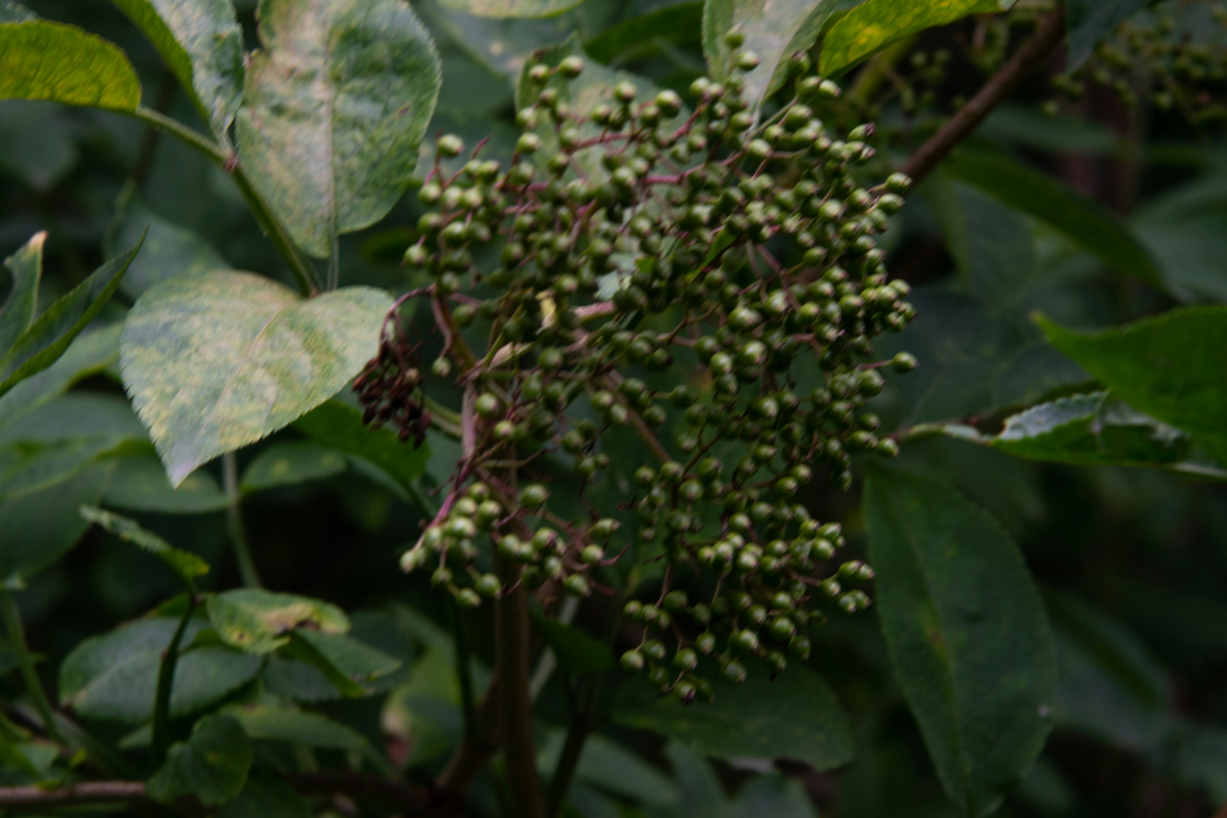 Photo by karl3kirstin