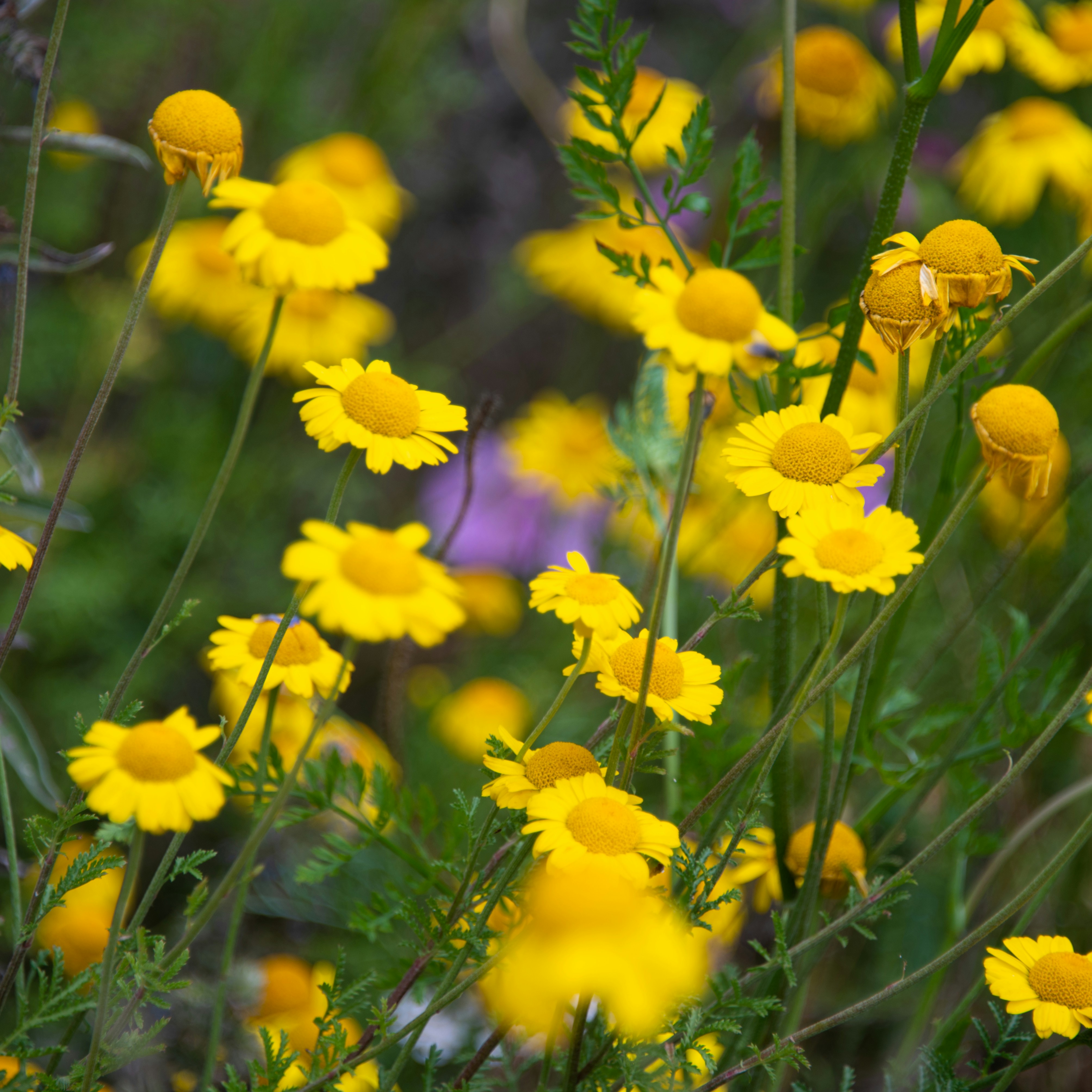 Photo by karl3kirstin