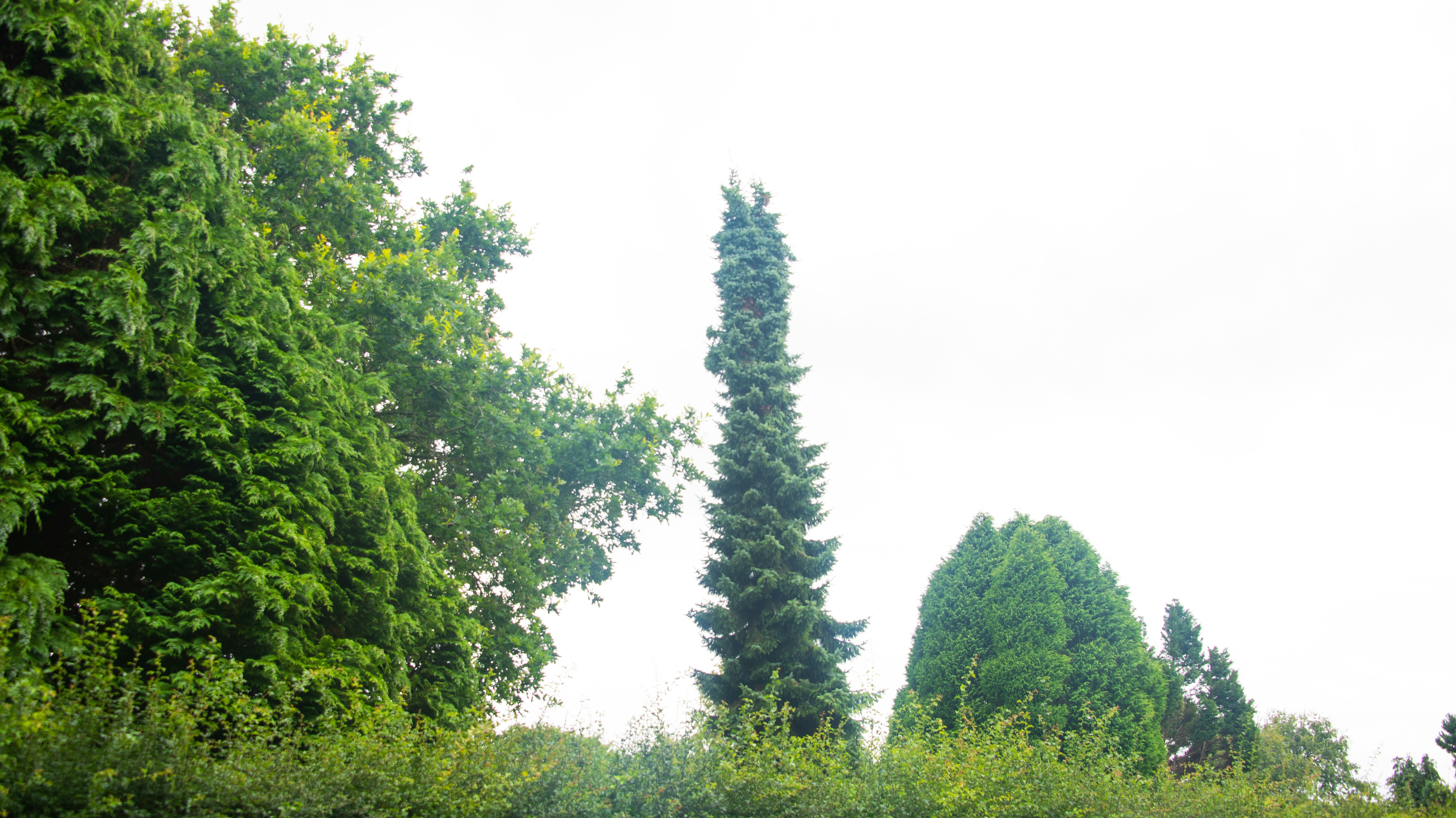 Photo by karl3kirstin