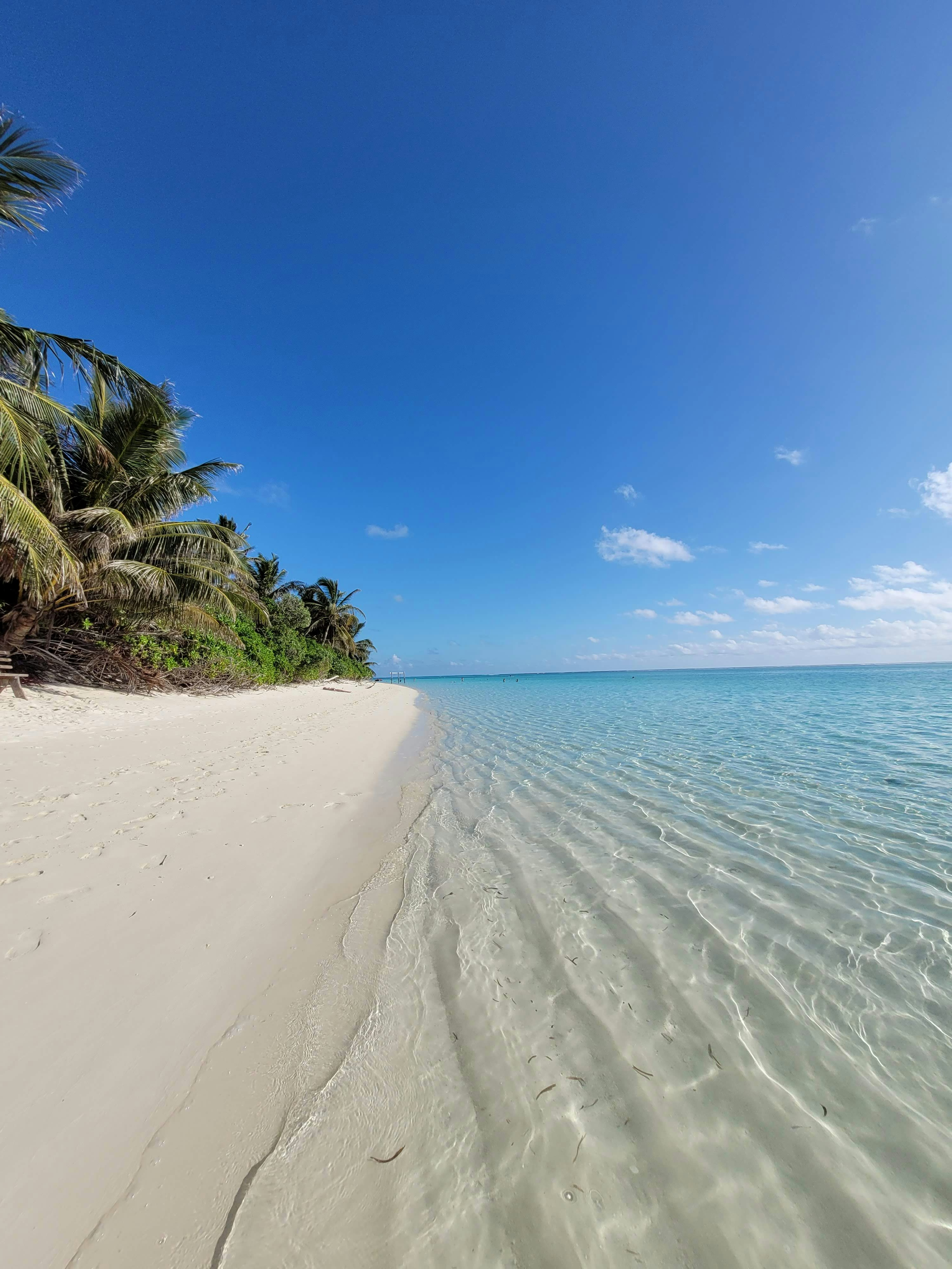 Photo by jumanjiphotos