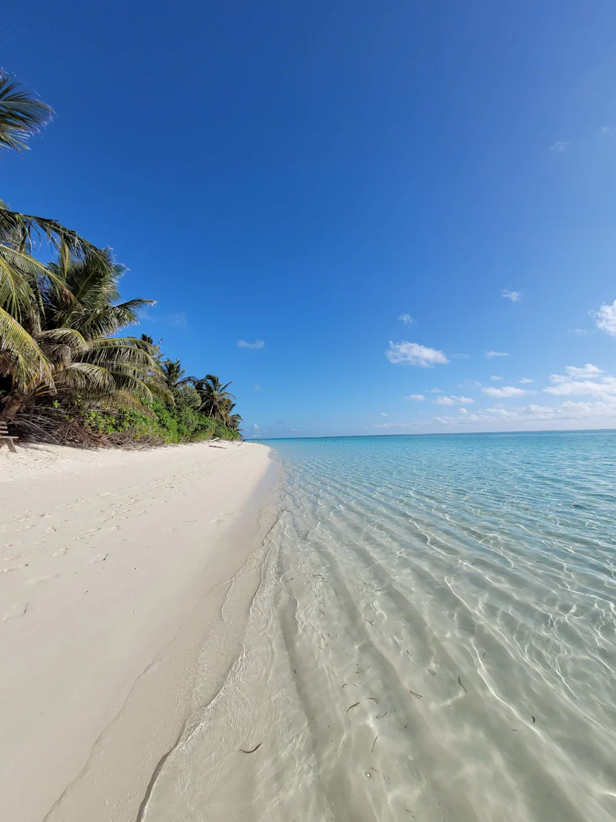 Maldives Honeymoon Package
