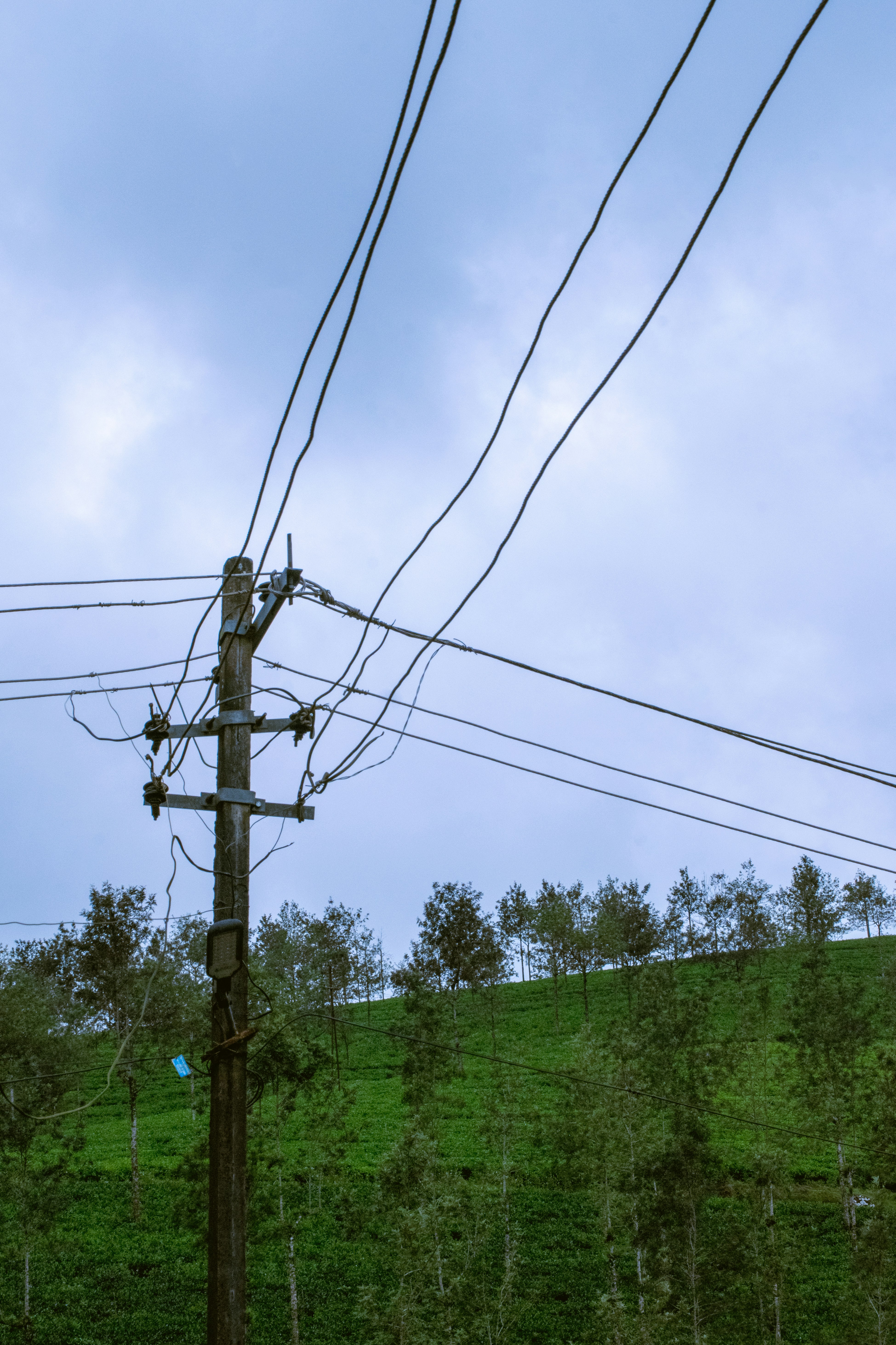 Photo by joejojoestar