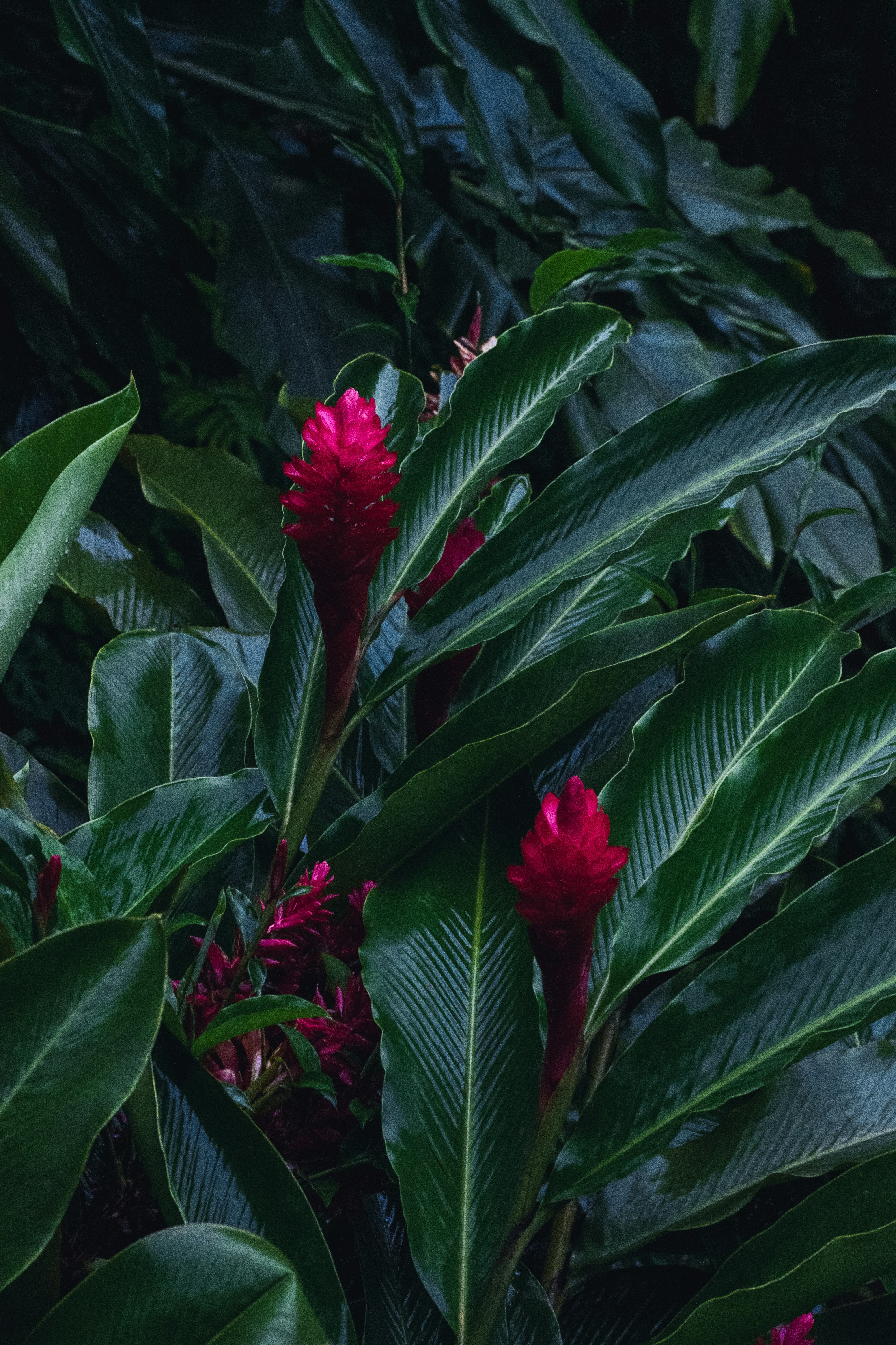 Photo by joejojoestar