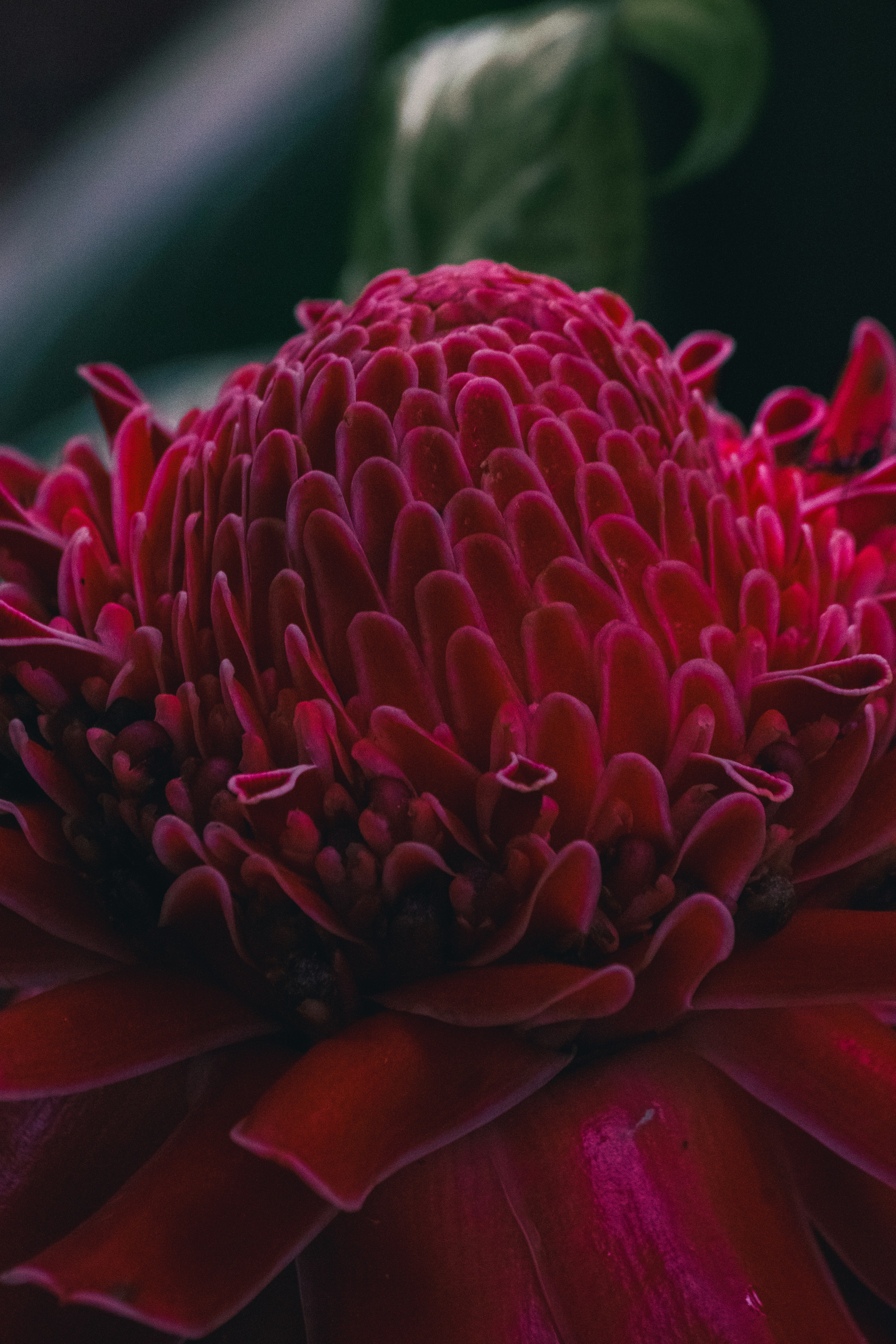 Photo by joejojoestar