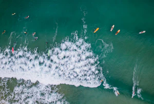 Vue aérienne de paddleboarders