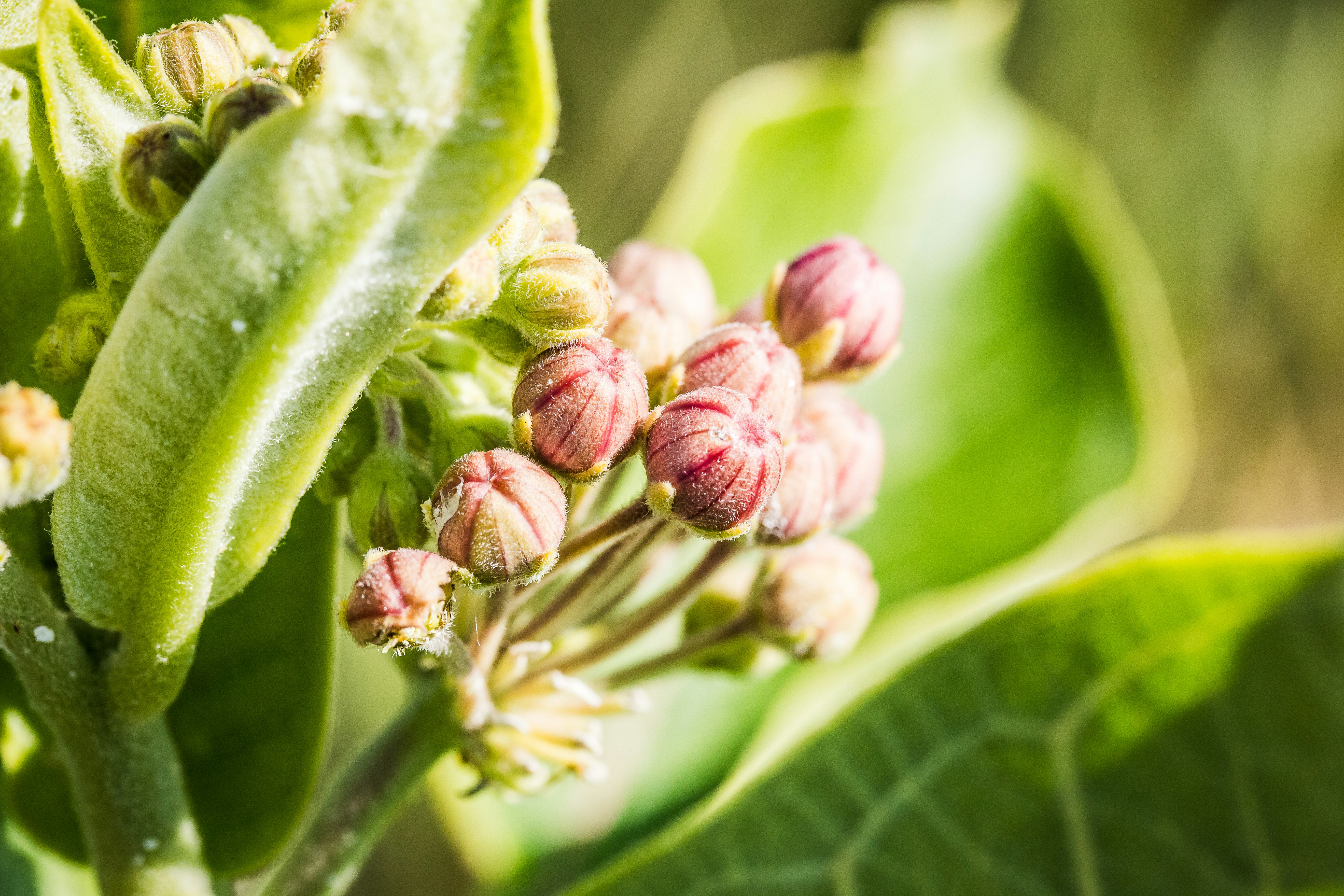 Photo by mbroekemeier