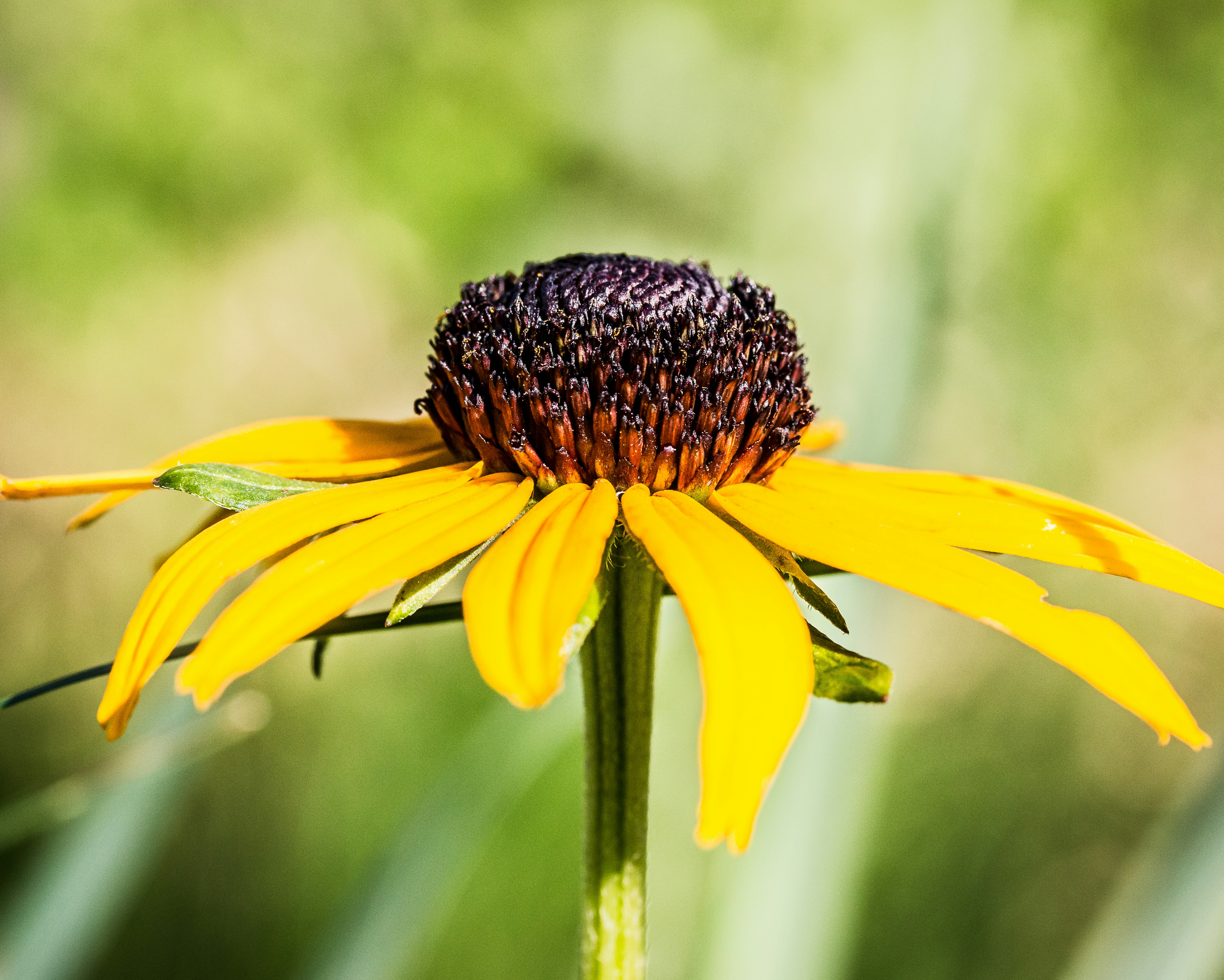 Photo by mbroekemeier