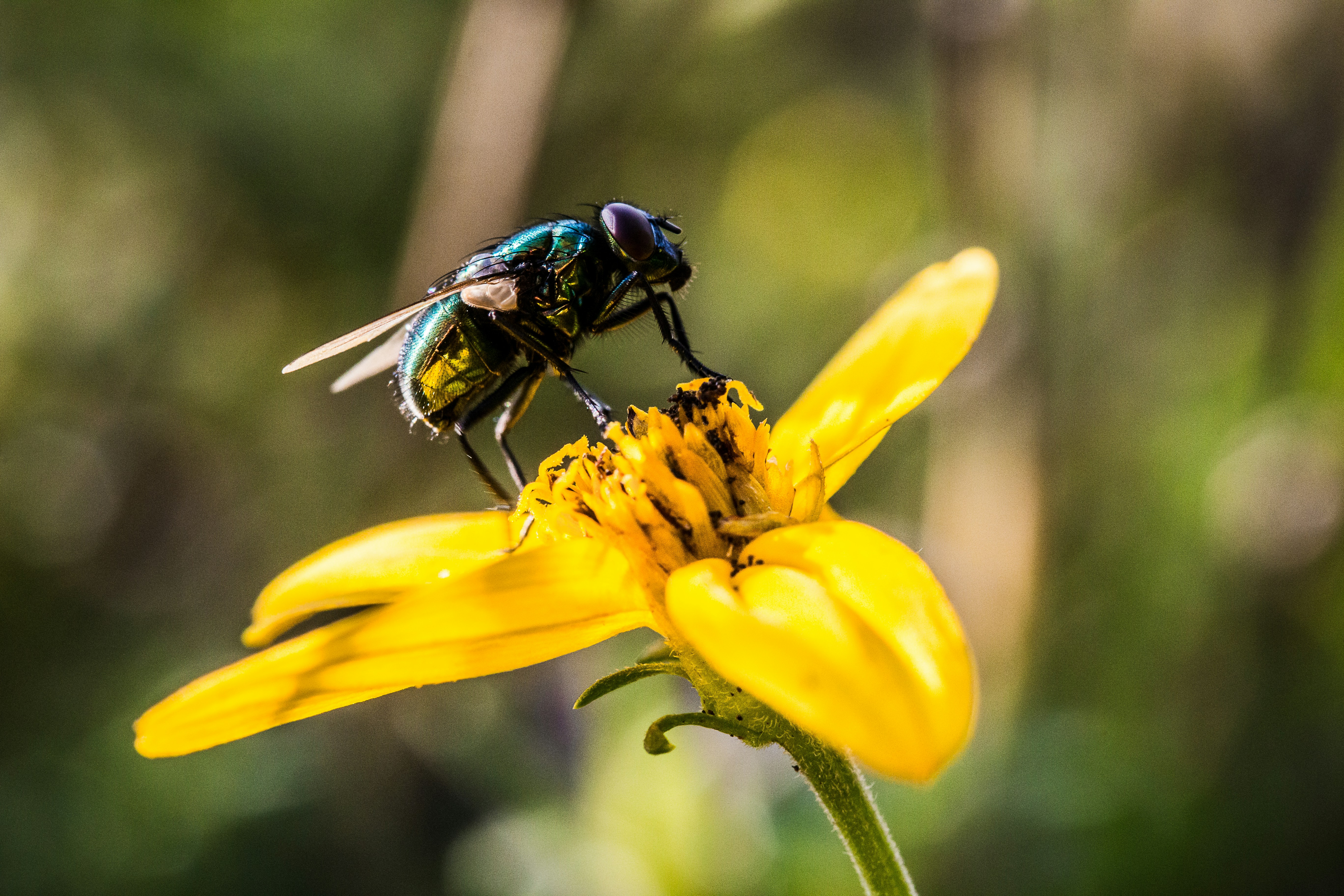 Photo by mbroekemeier