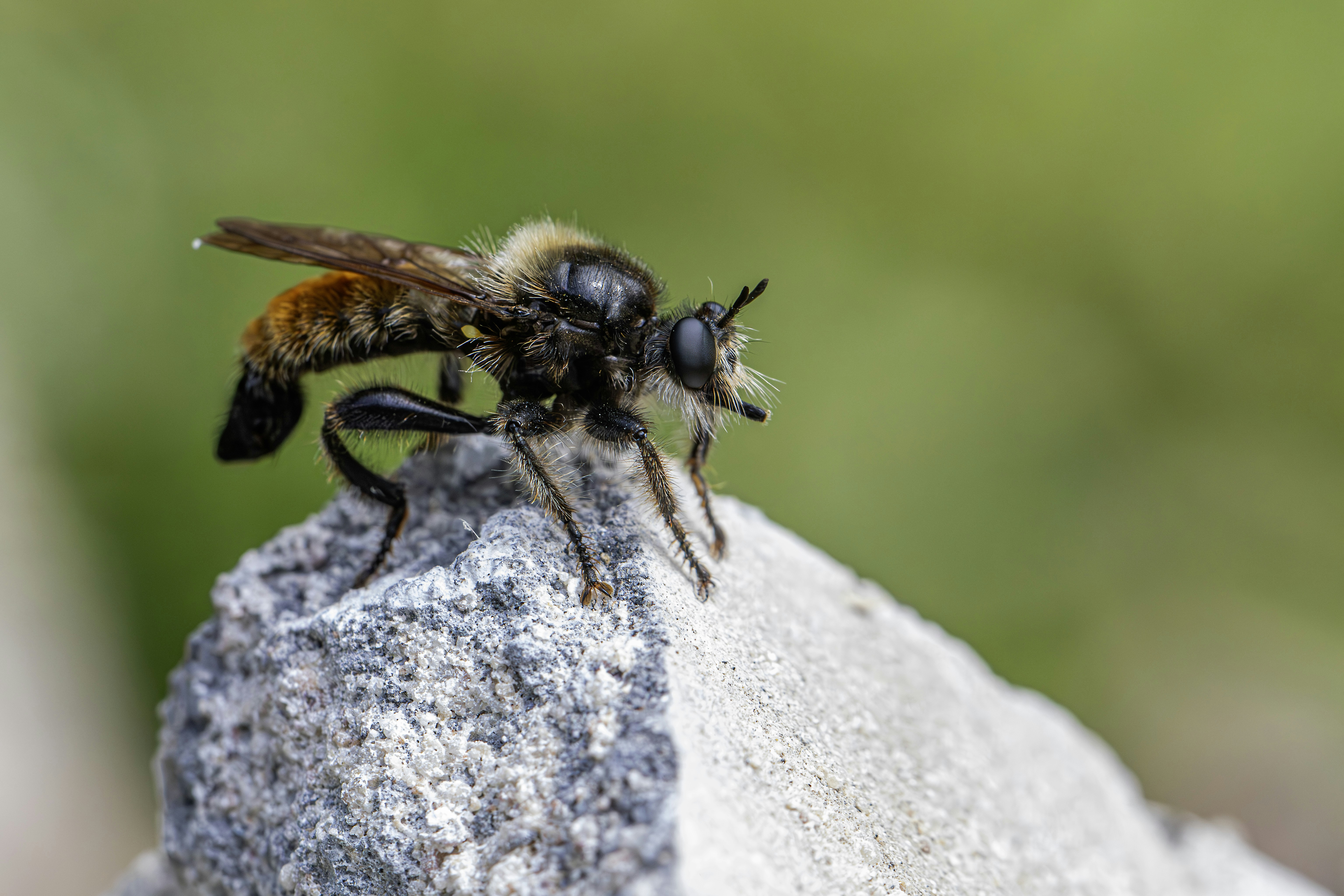 Photo by erik_karits