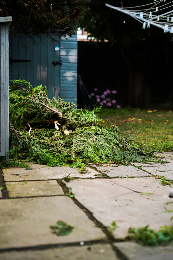 Freshly trimmed branches after garden clearance