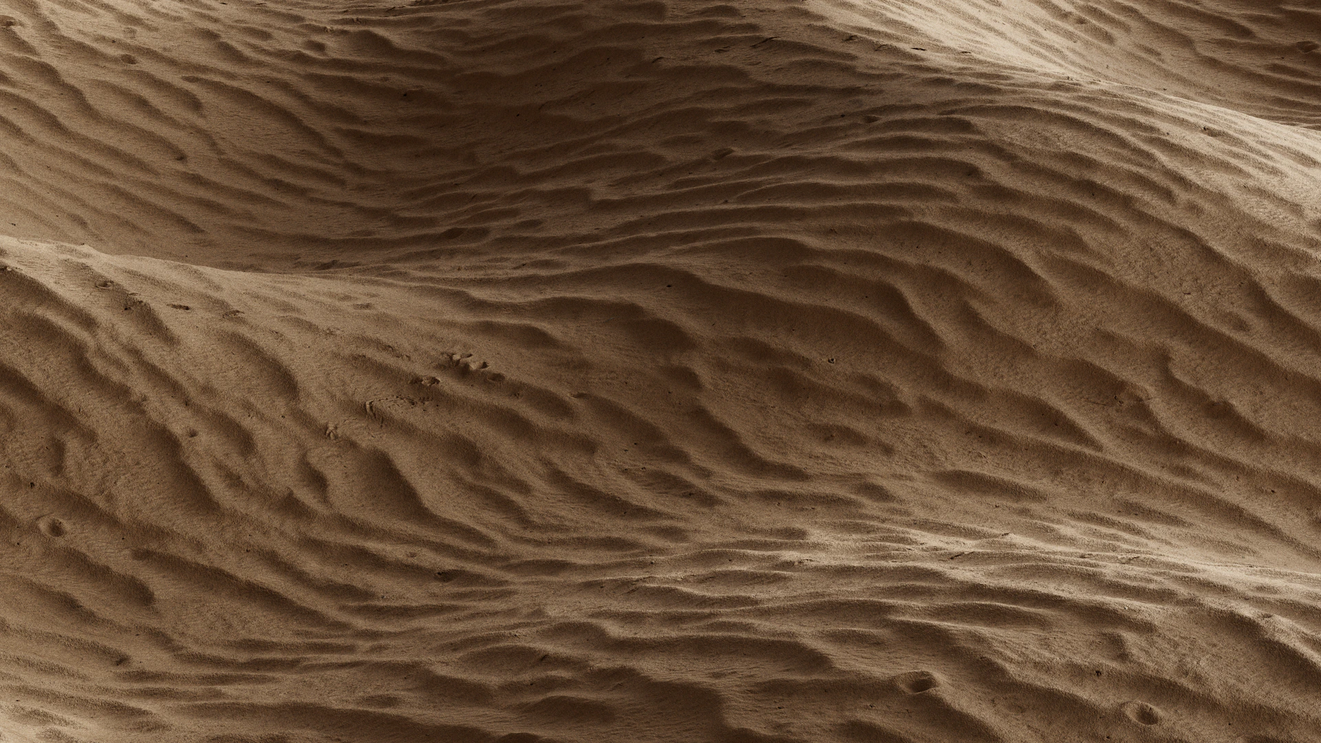 Sandy dunes create textured patterns.