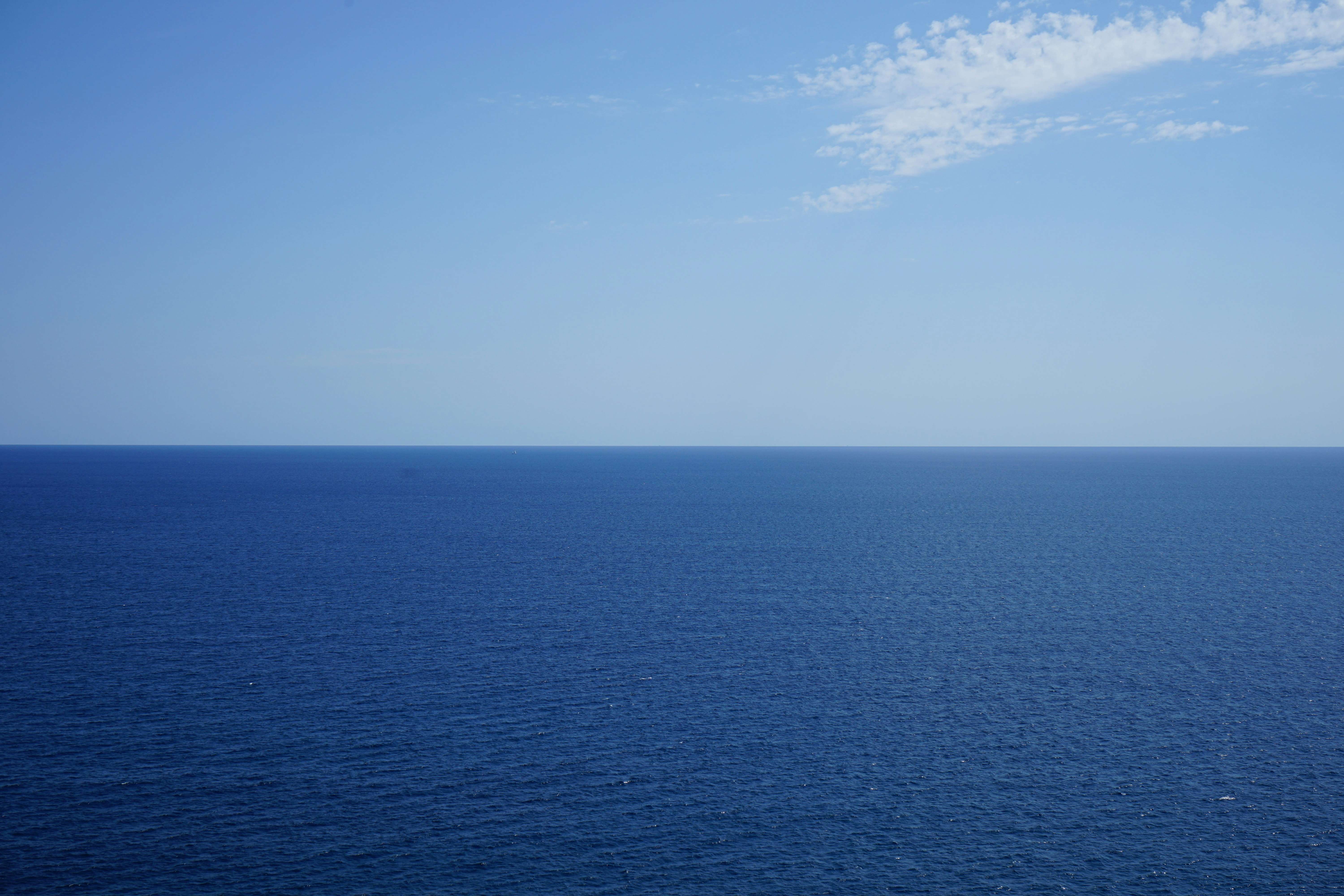 Photo by paciedwards