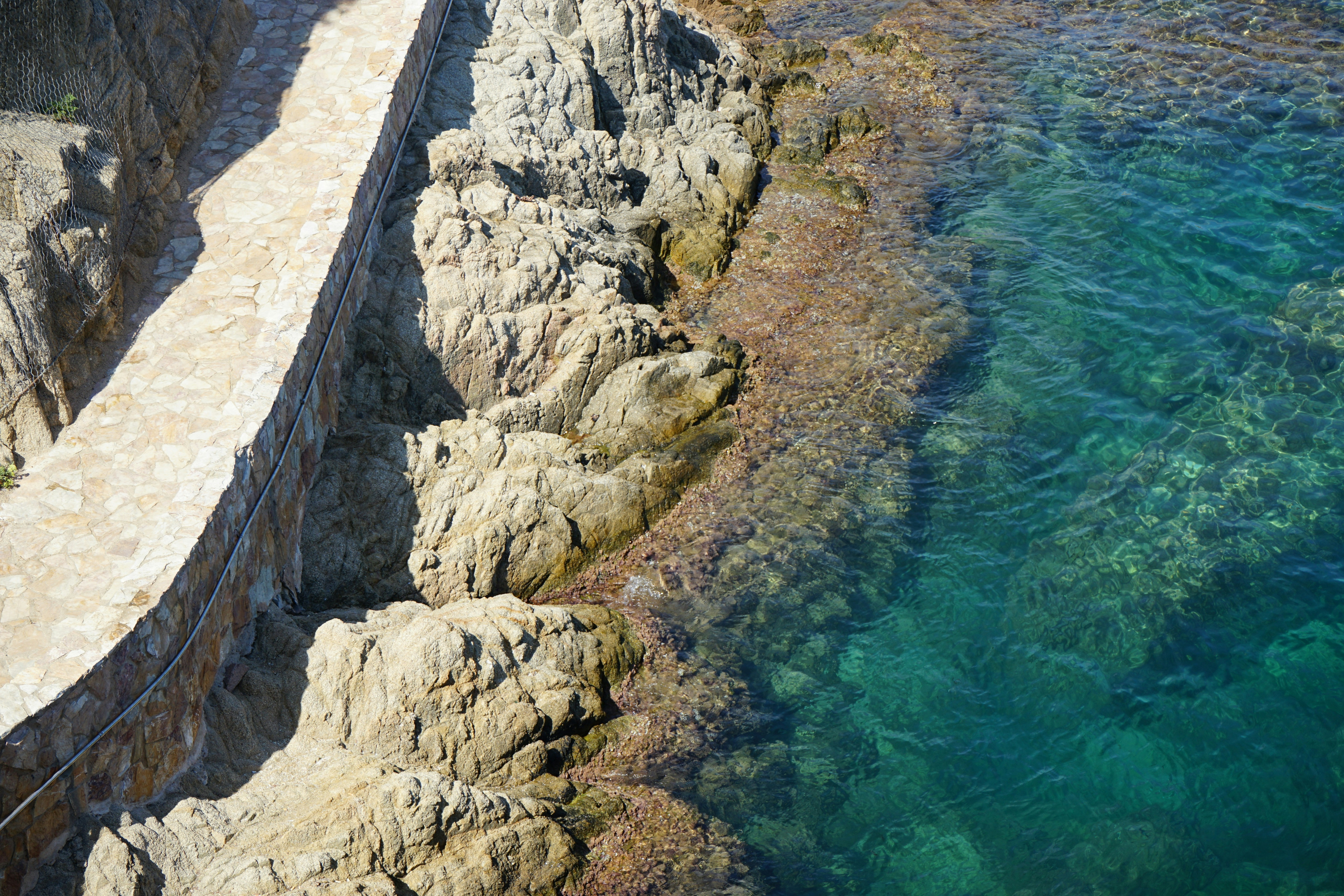 Photo by paciedwards