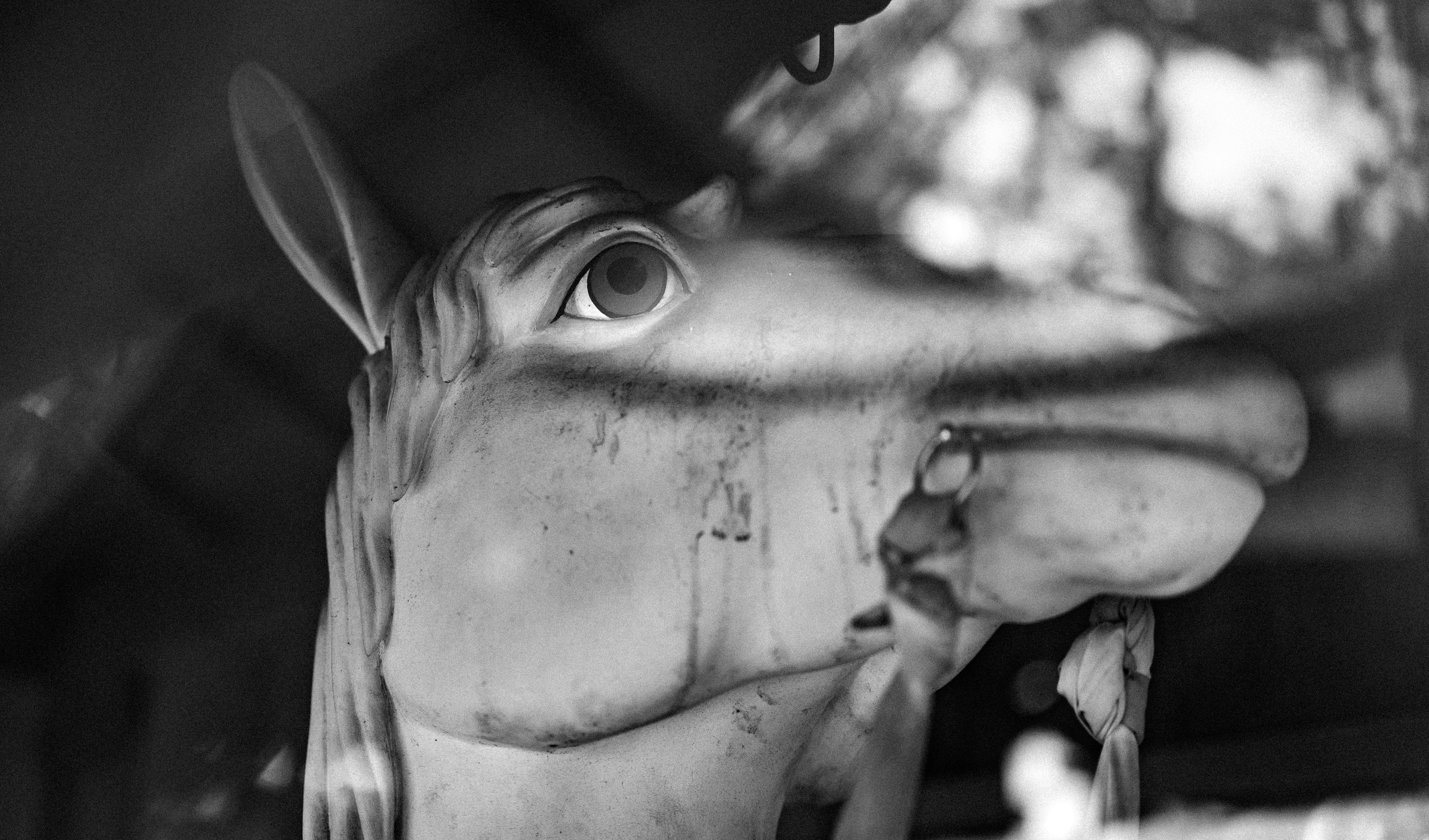 A statue of a donkey looks thoughtfully.