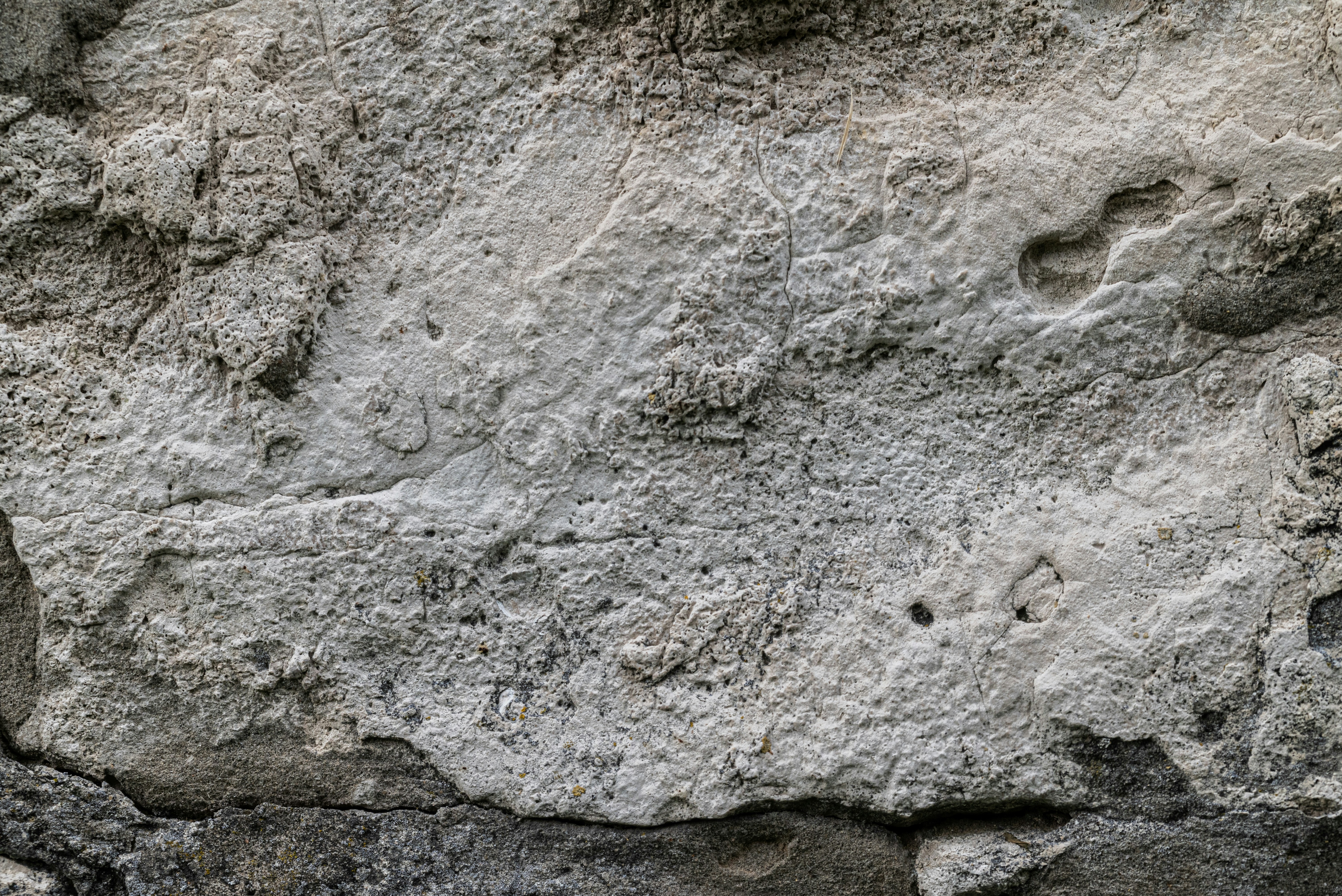 Photo by andrilliardbond