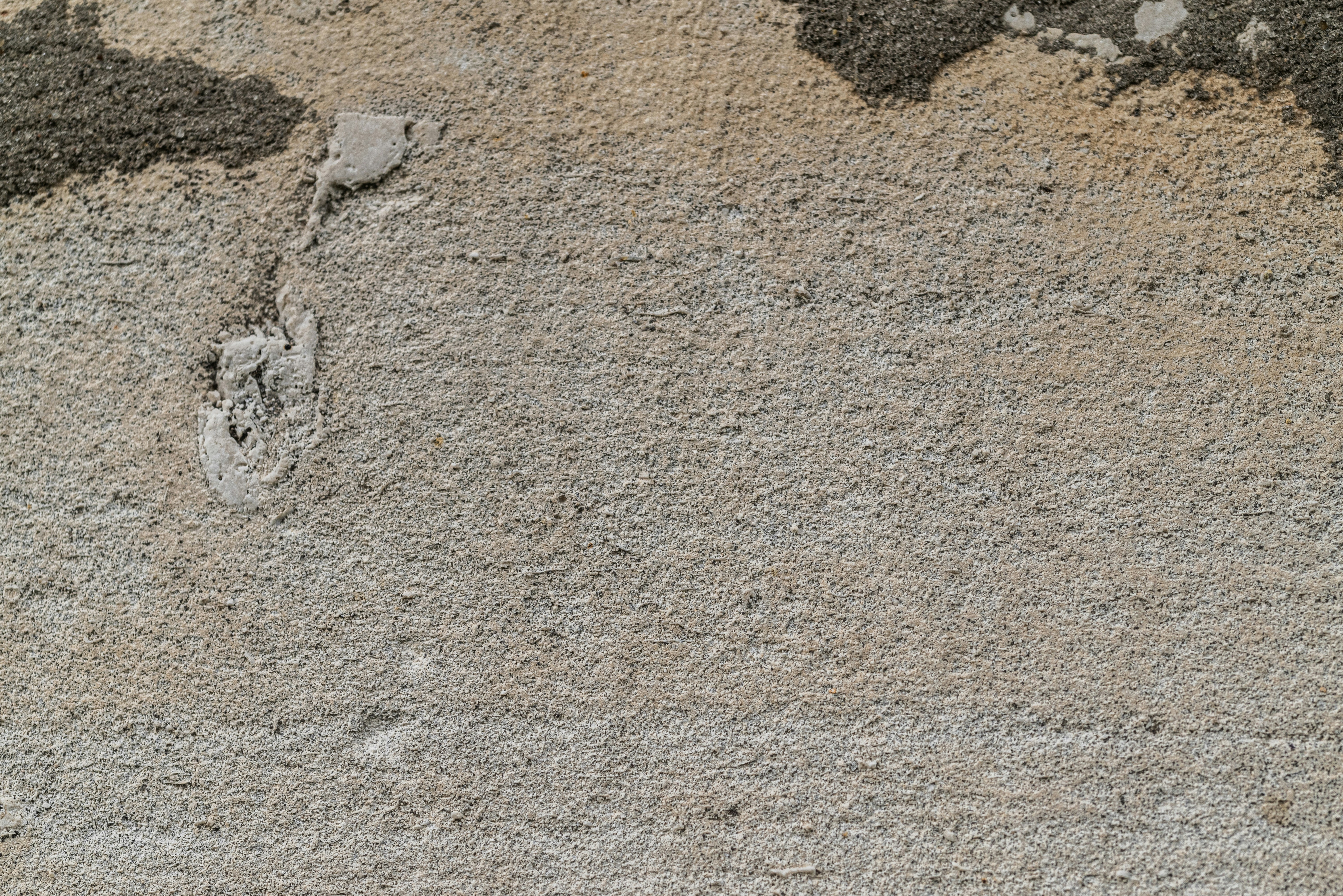 Photo by andrilliardbond