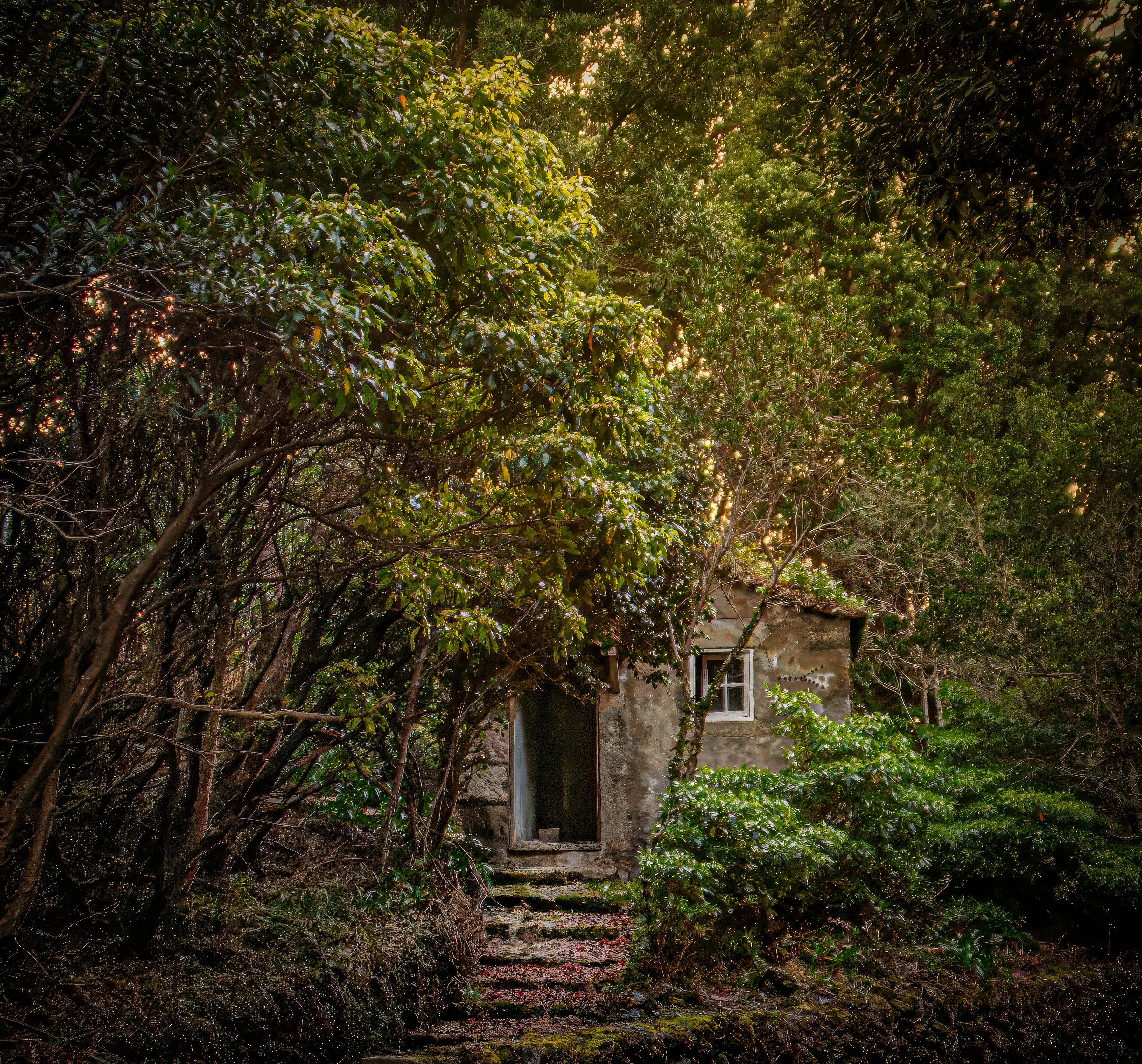 A stone house is nestled amidst lush greenery.