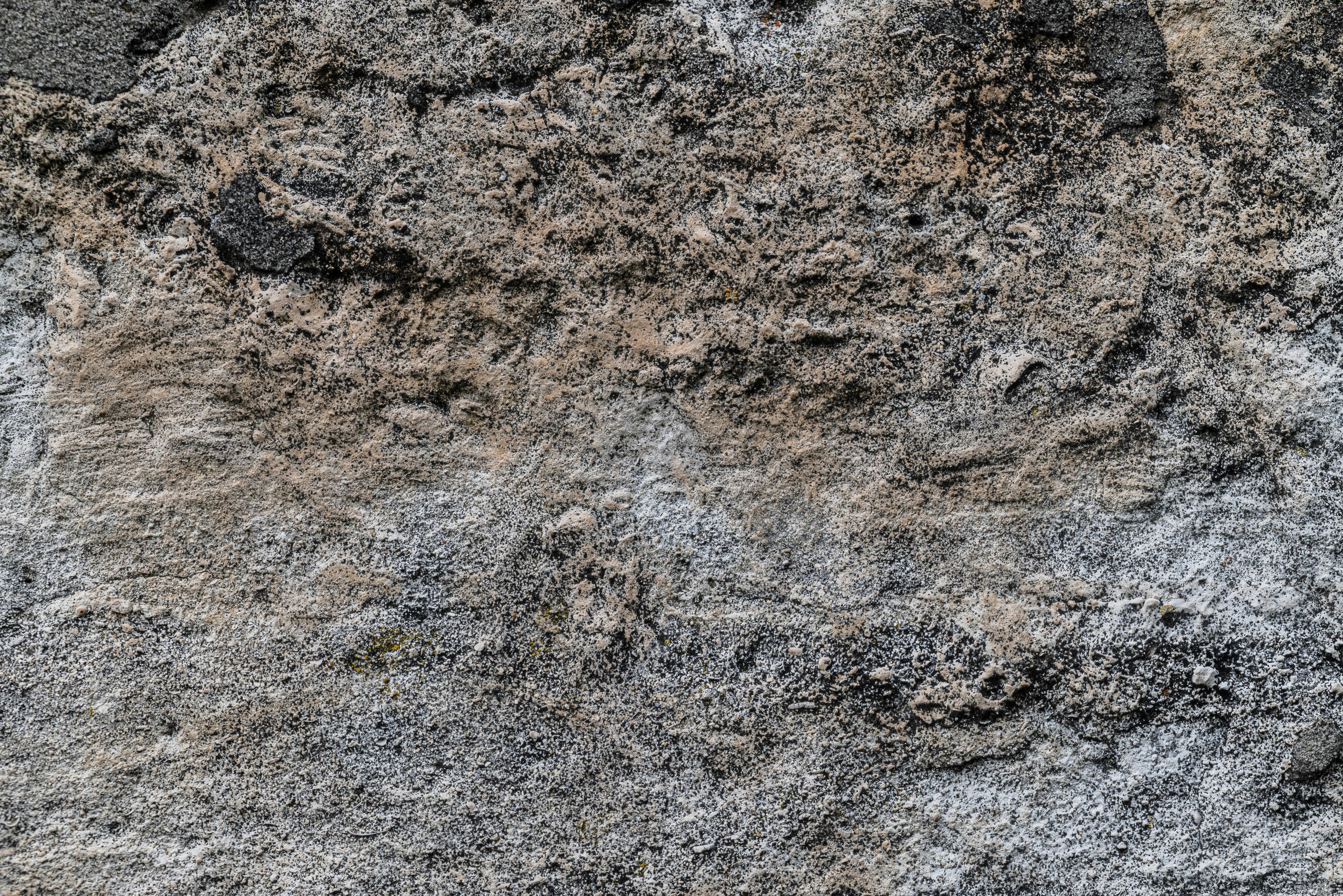 Photo by andrilliardbond