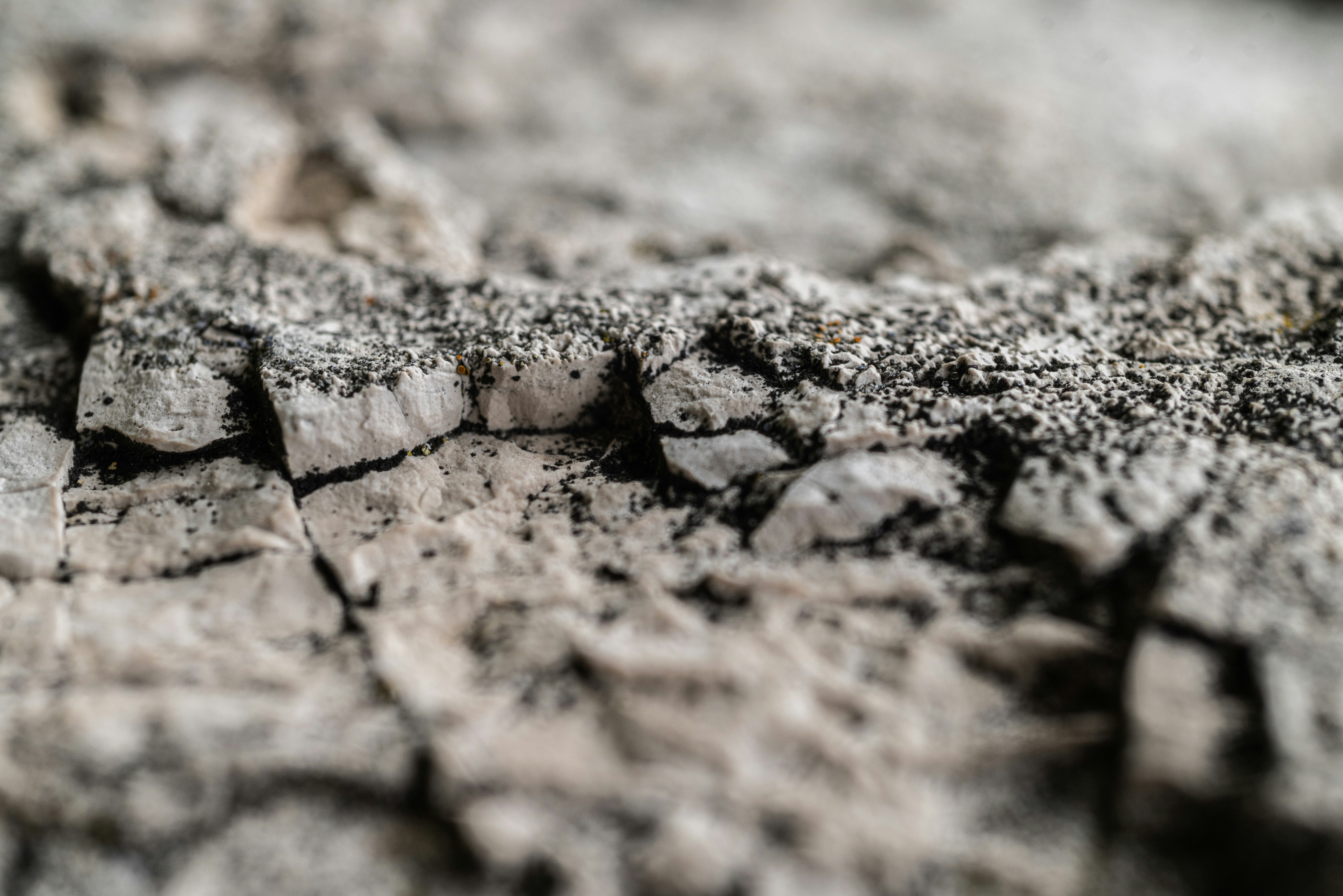 Photo by andrilliardbond