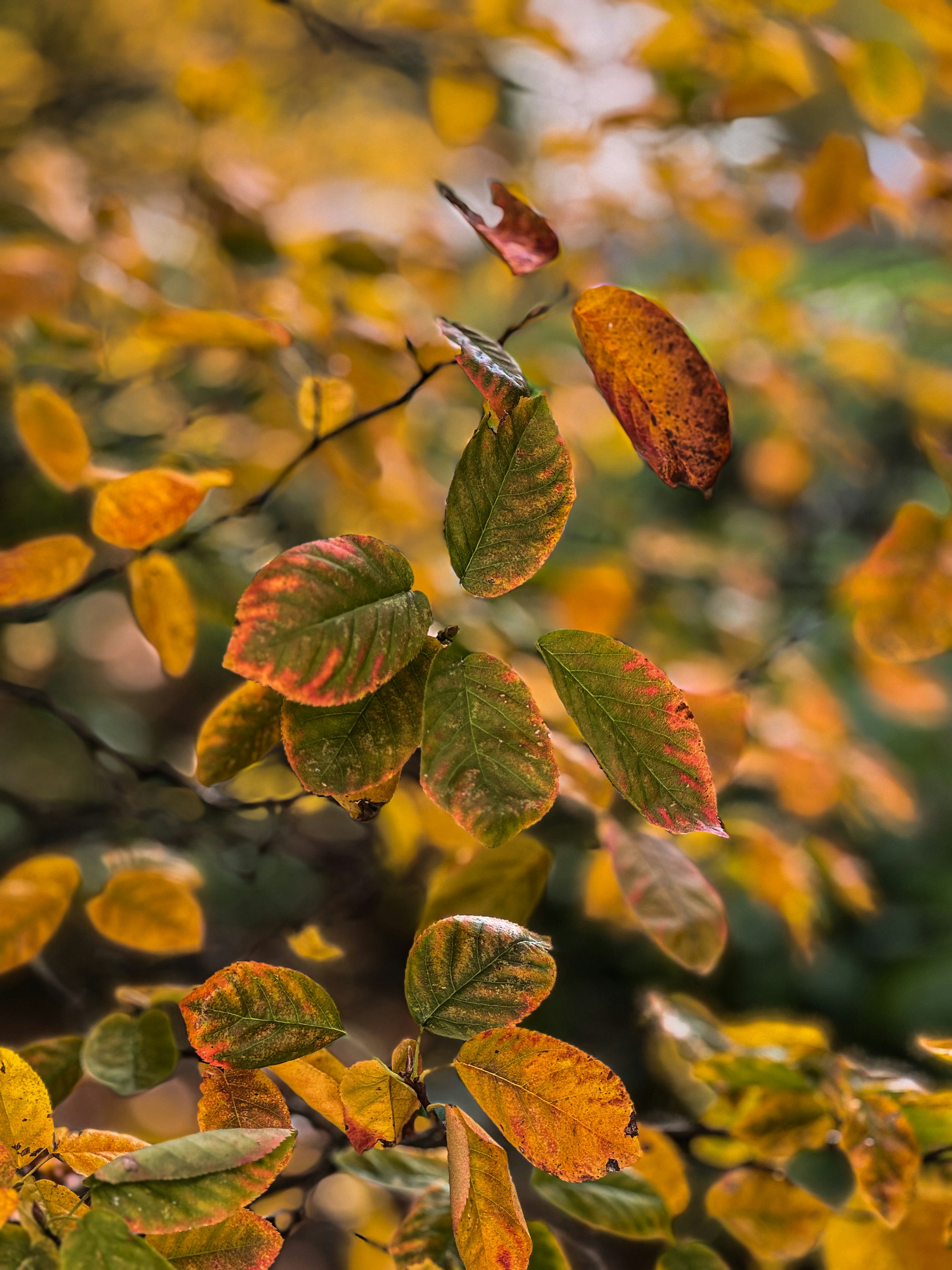 Photo by pariakarimi