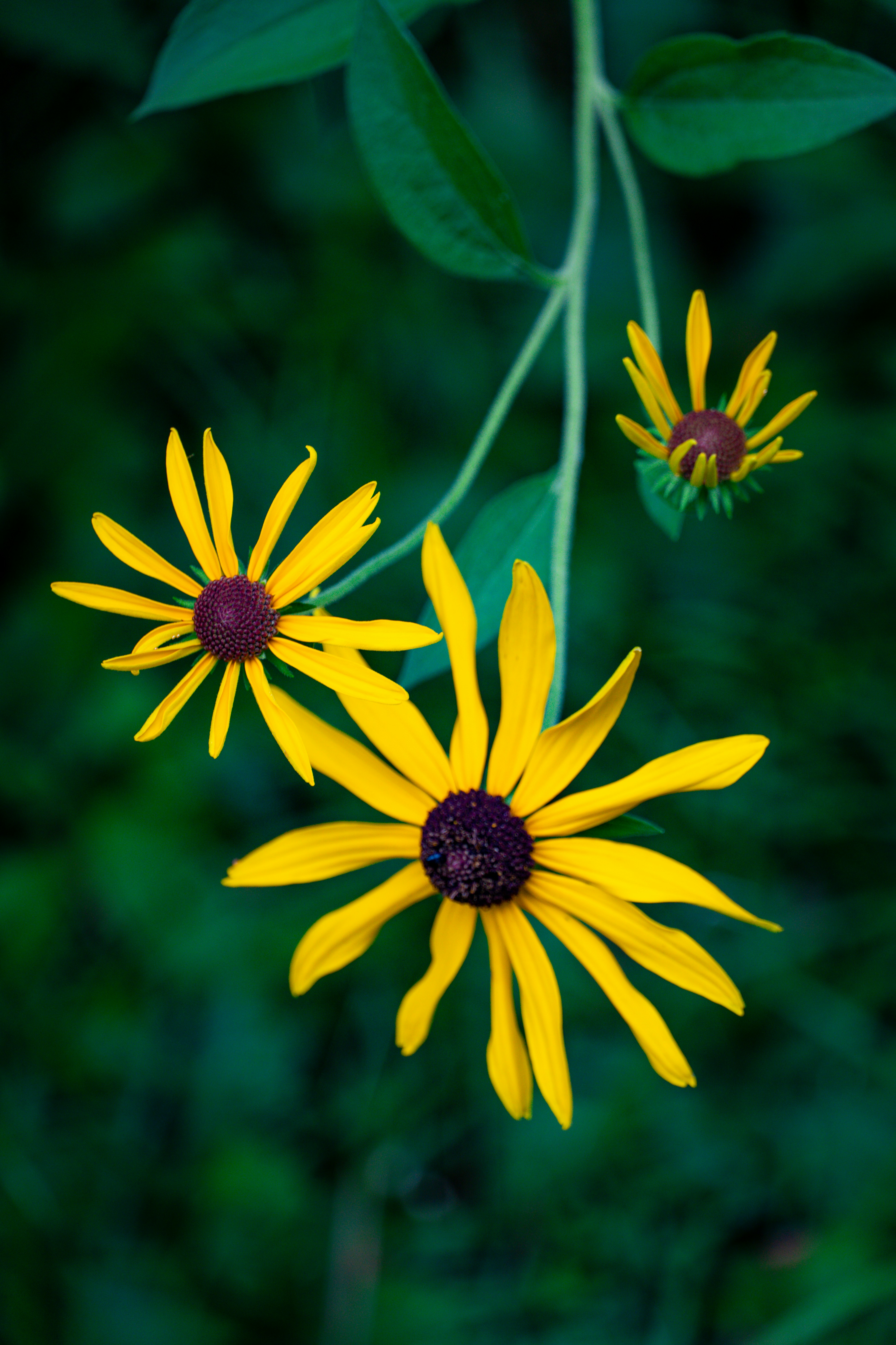 Photo by framedbyhannah