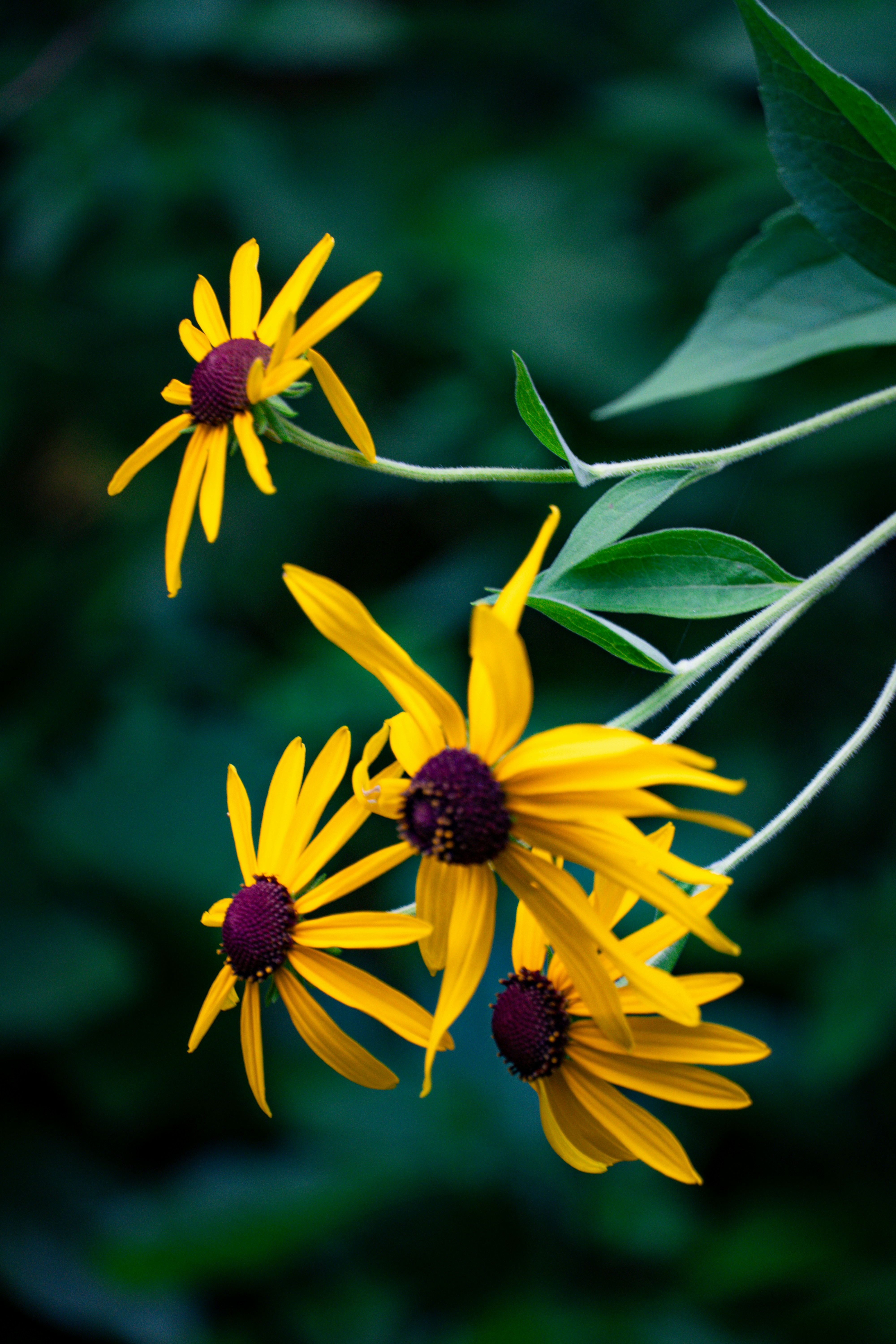 Photo by framedbyhannah