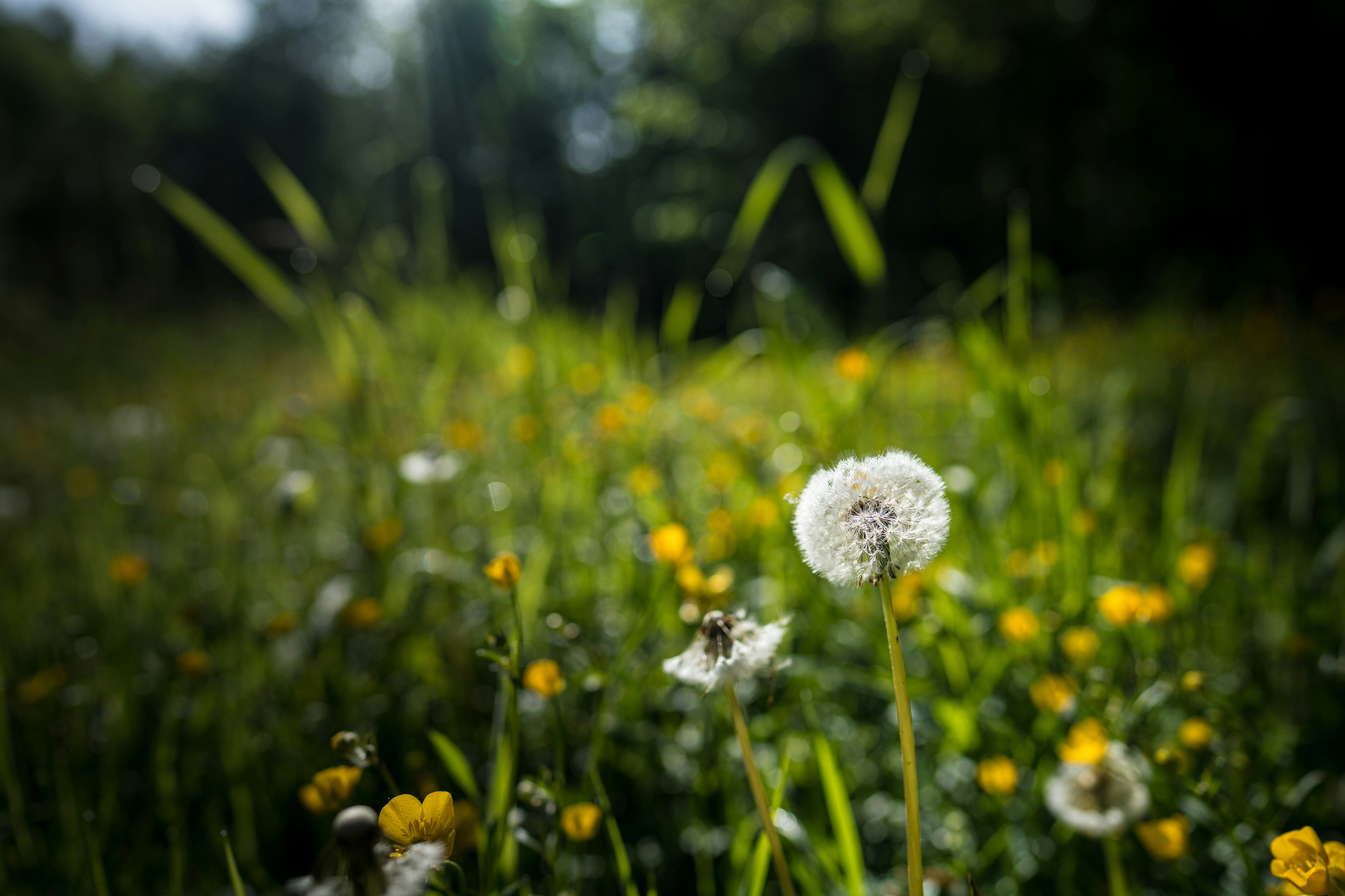 Photo by windowseatphotography