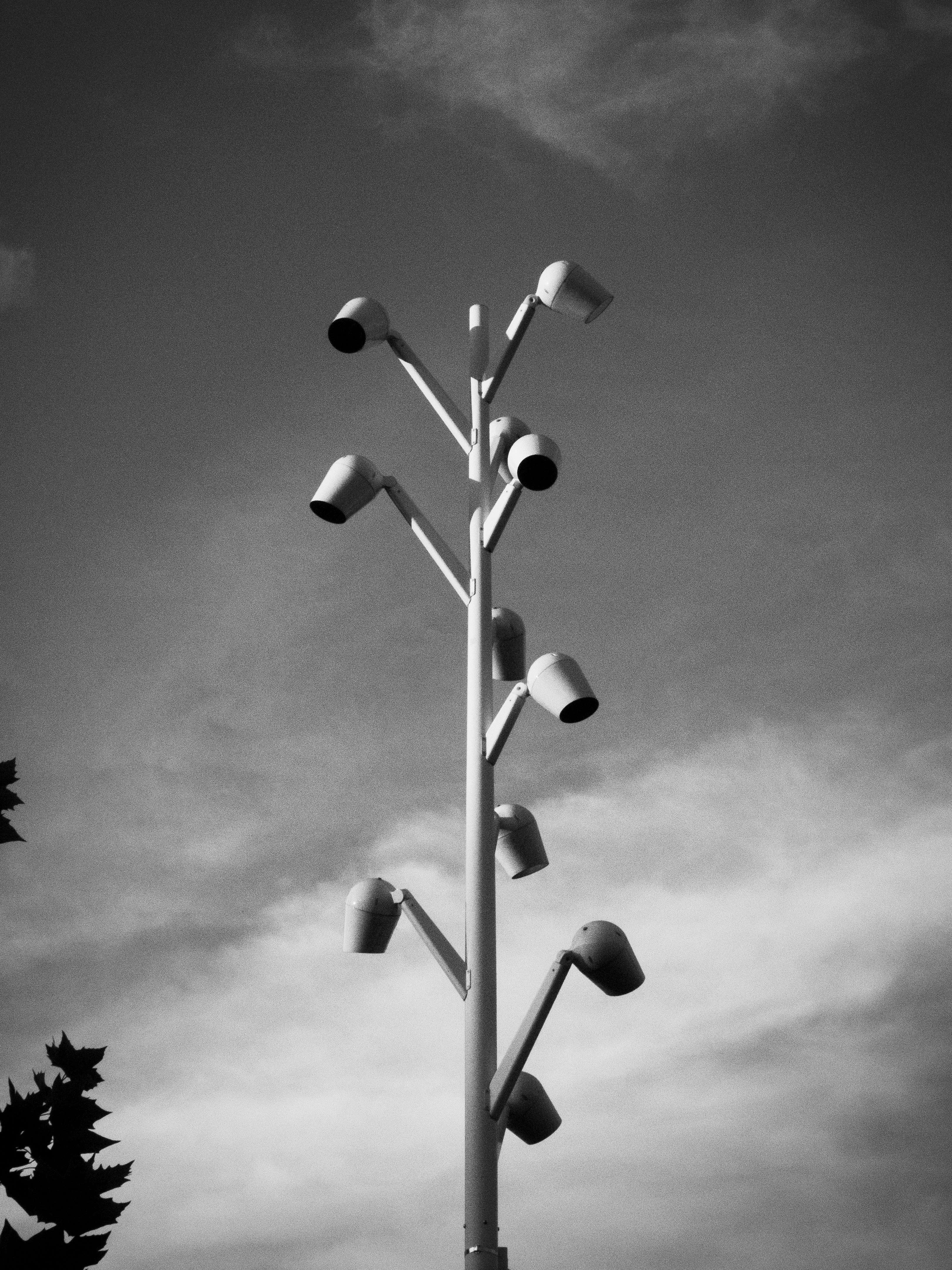 Photo by matthew_photograph