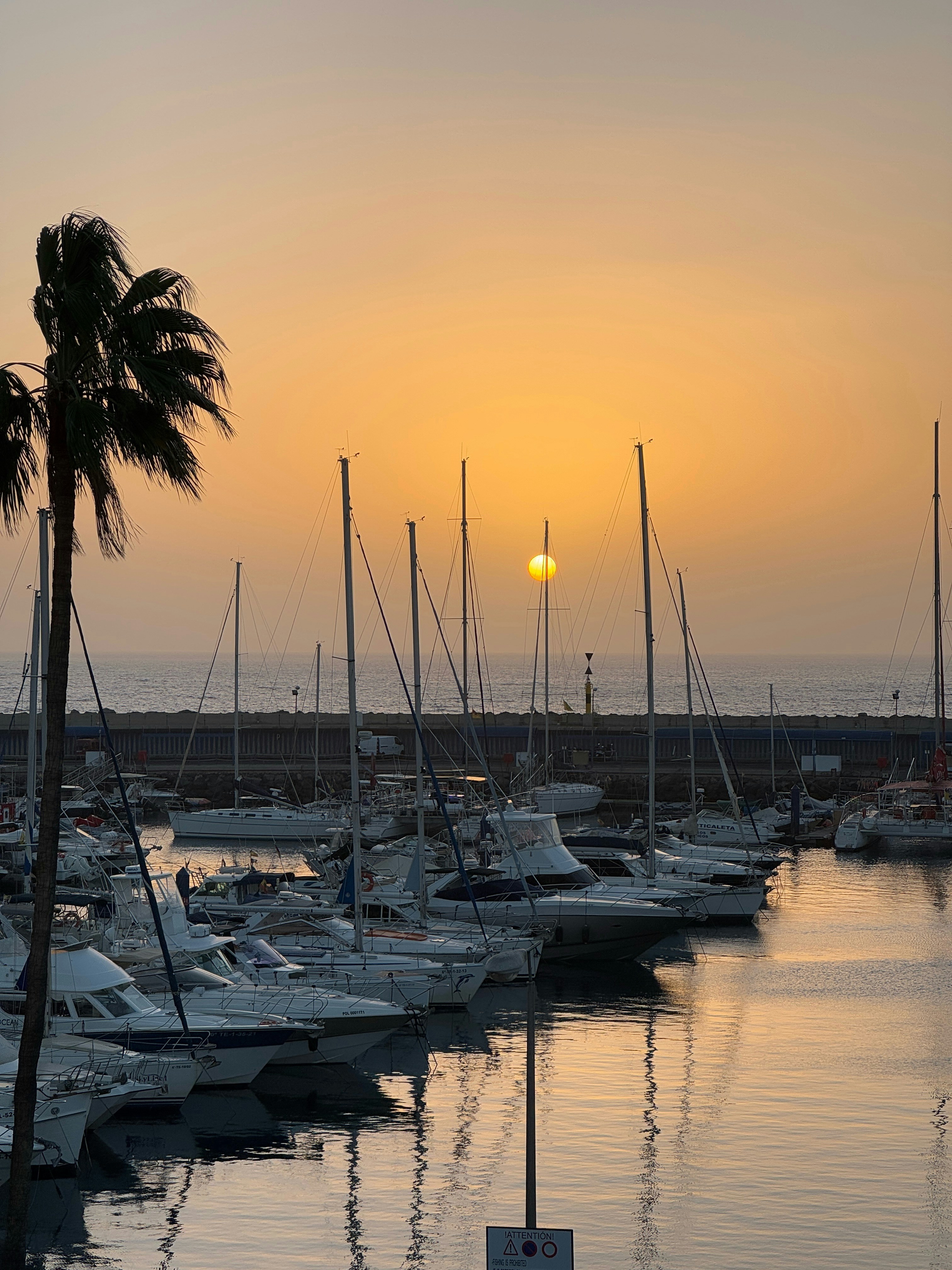 Photo by pariakarimi