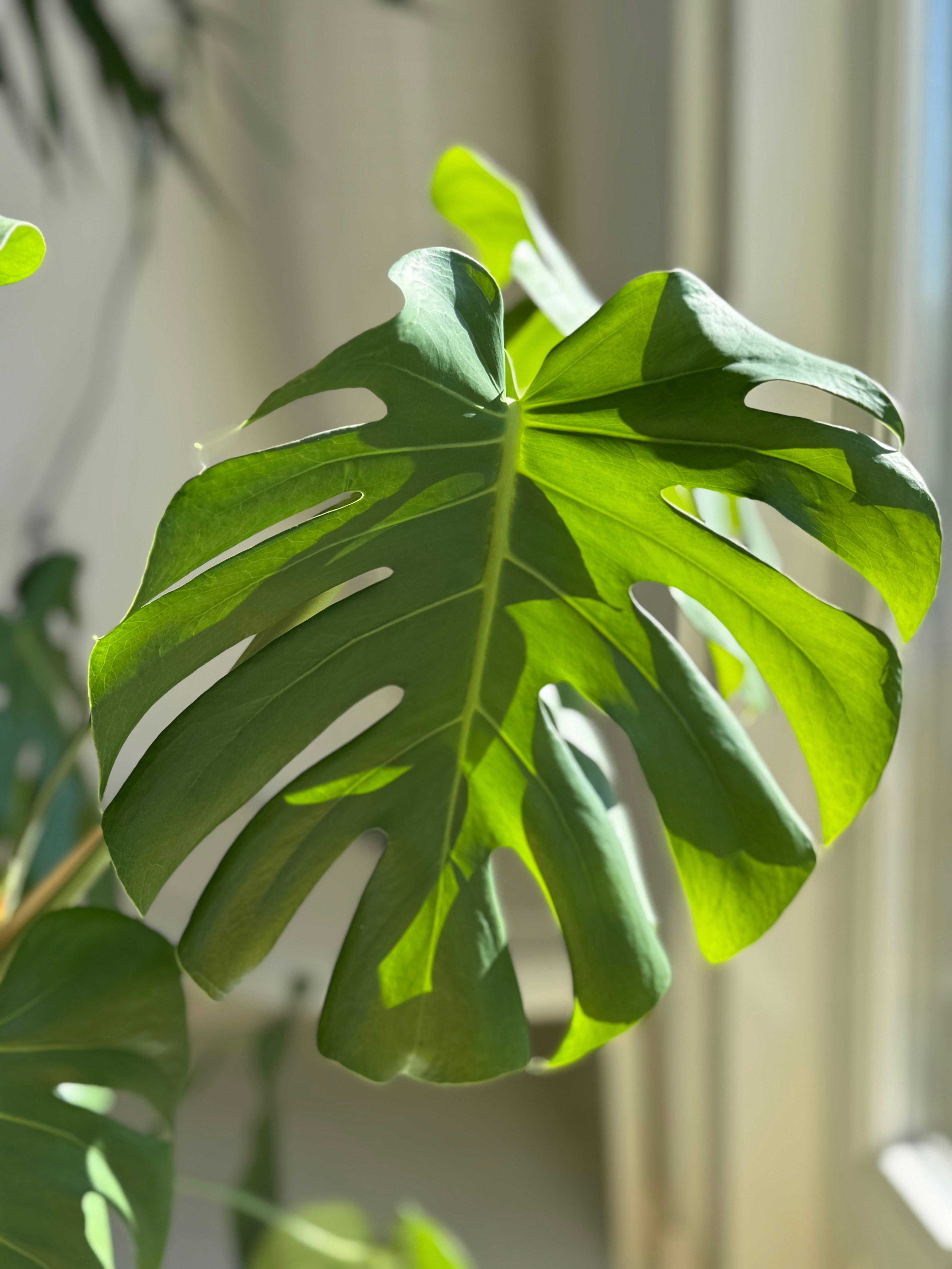 Photo by pariakarimi