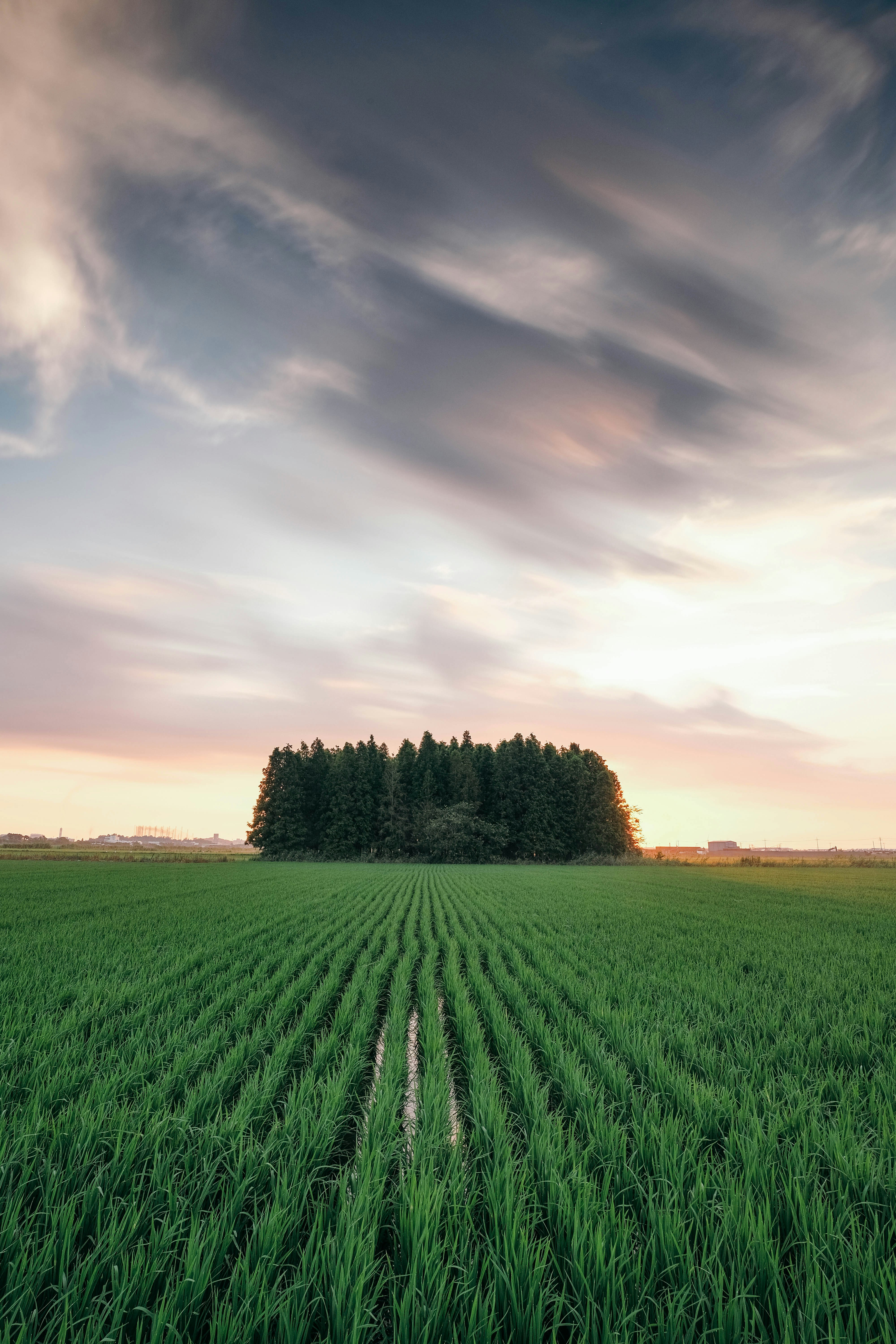 Photo by insungpandora