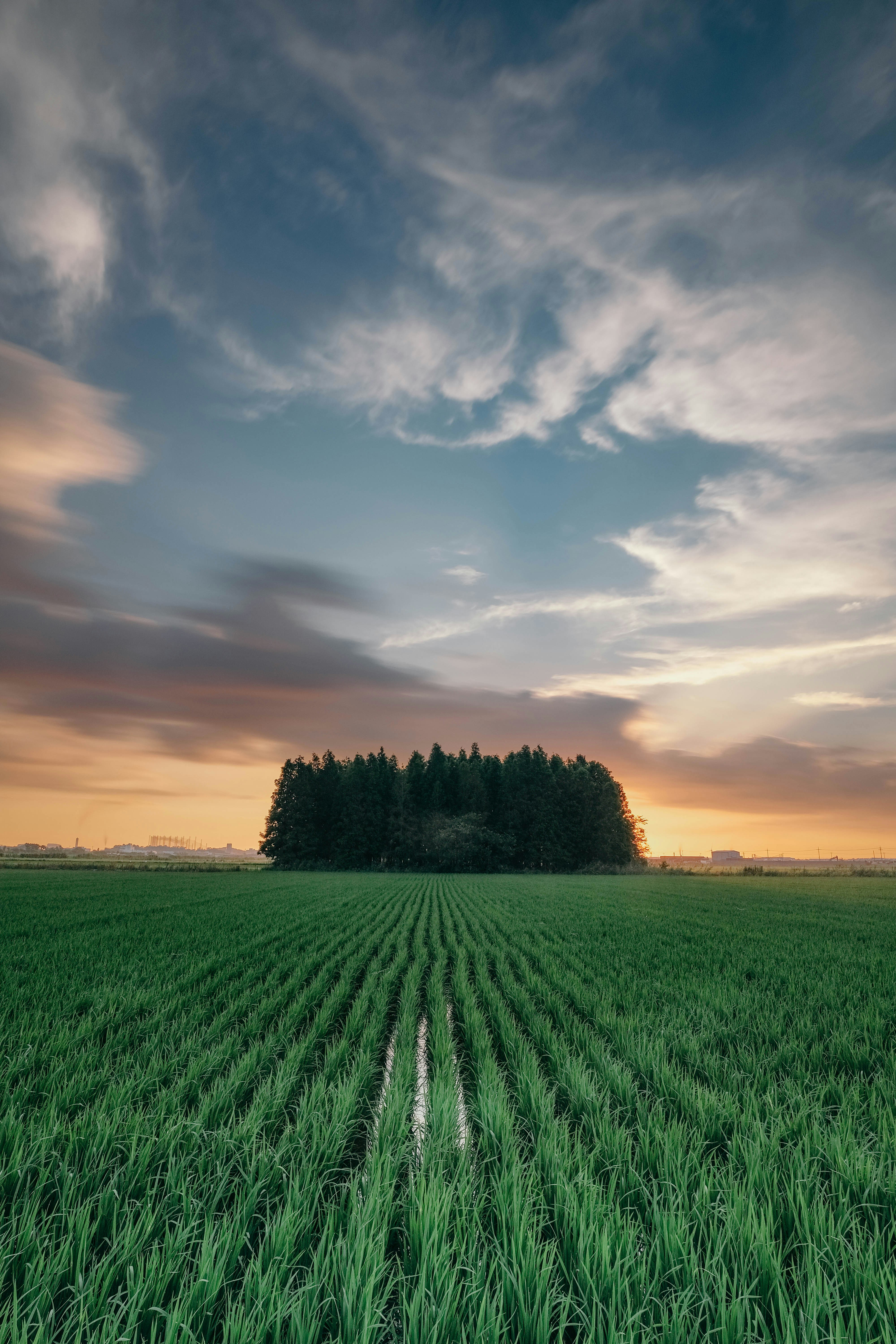 Photo by insungpandora