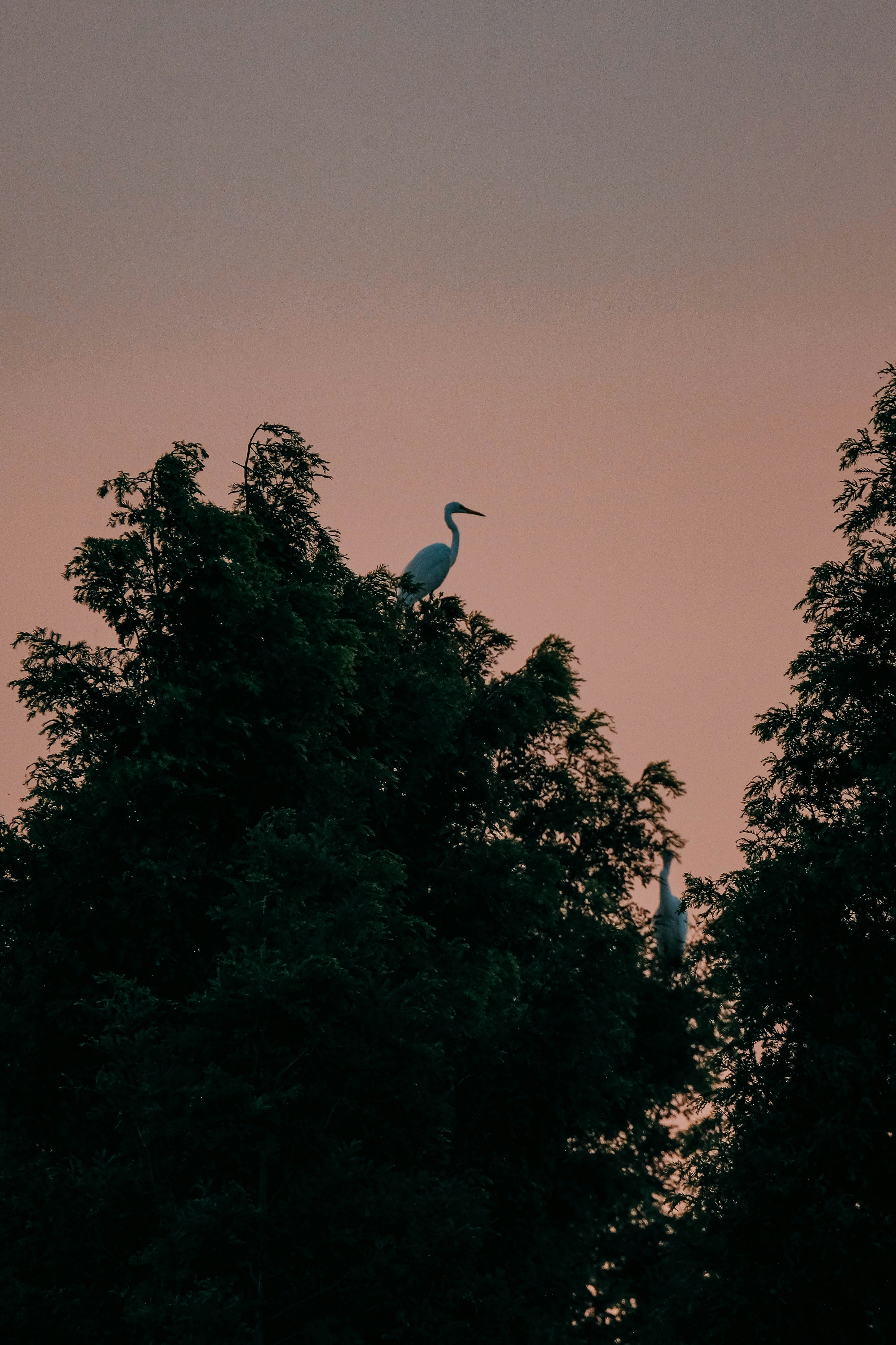 Photo by insungpandora