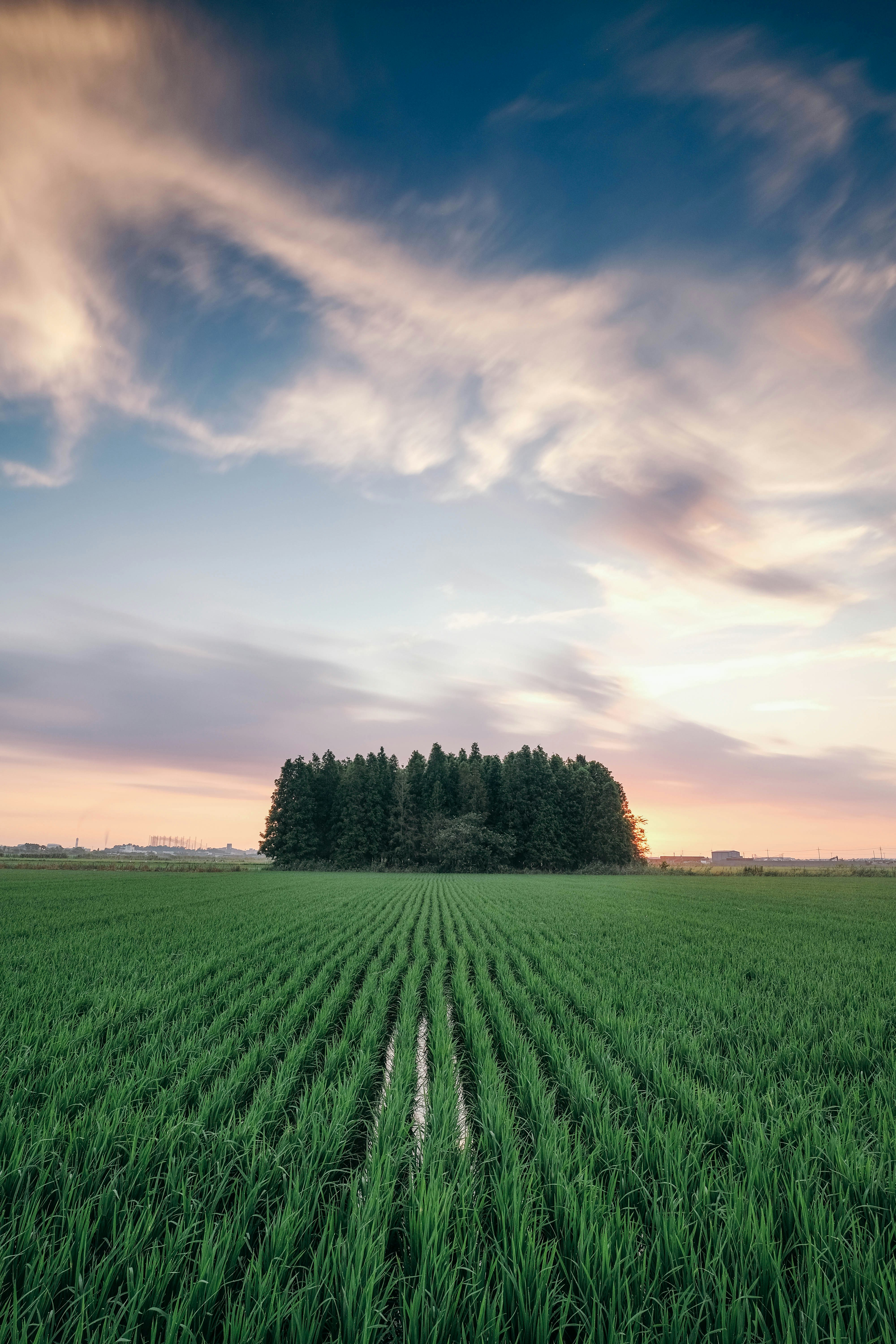 Photo by insungpandora