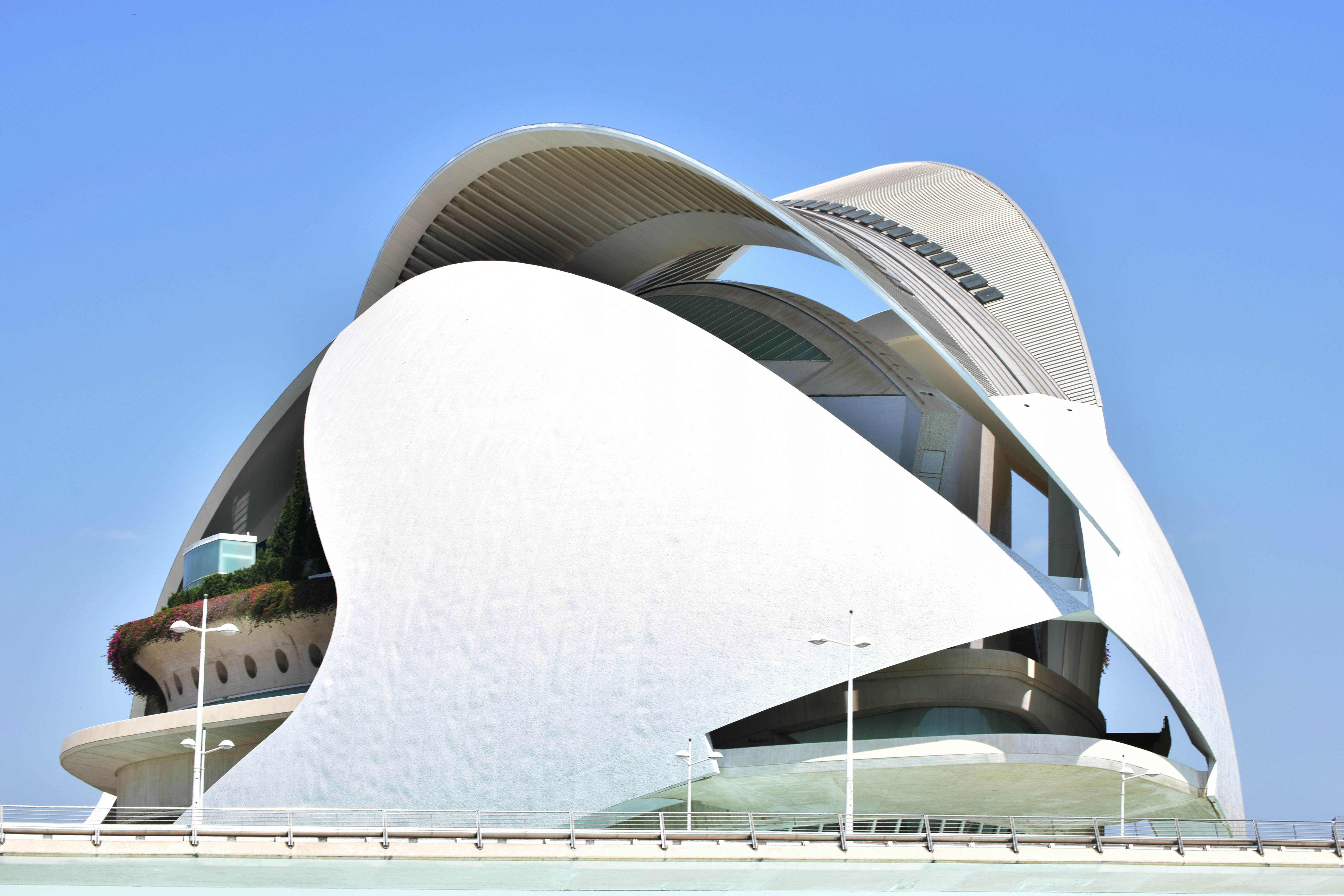 Photo by douglas__lugo