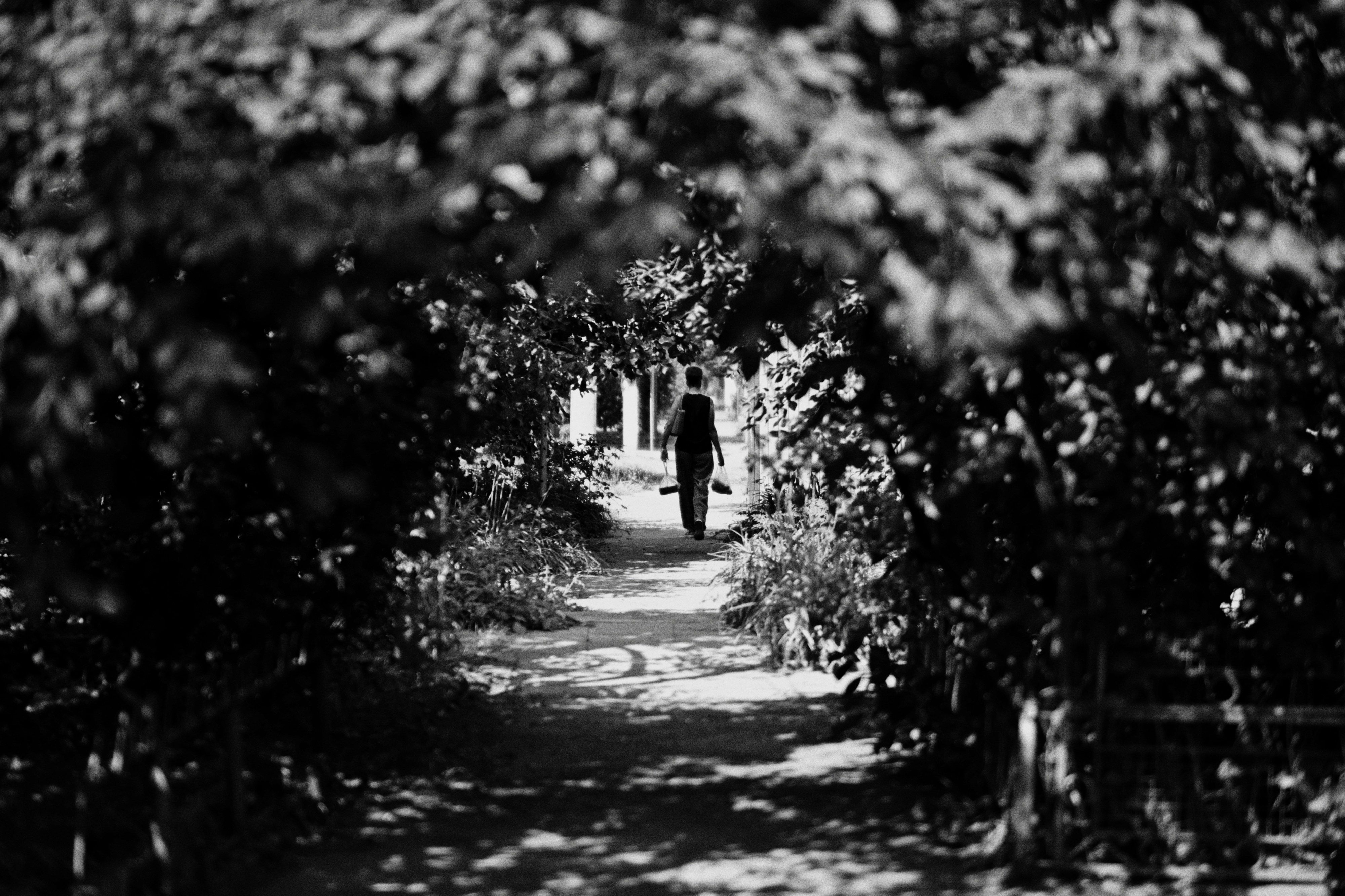 Photo by lvovandrewph